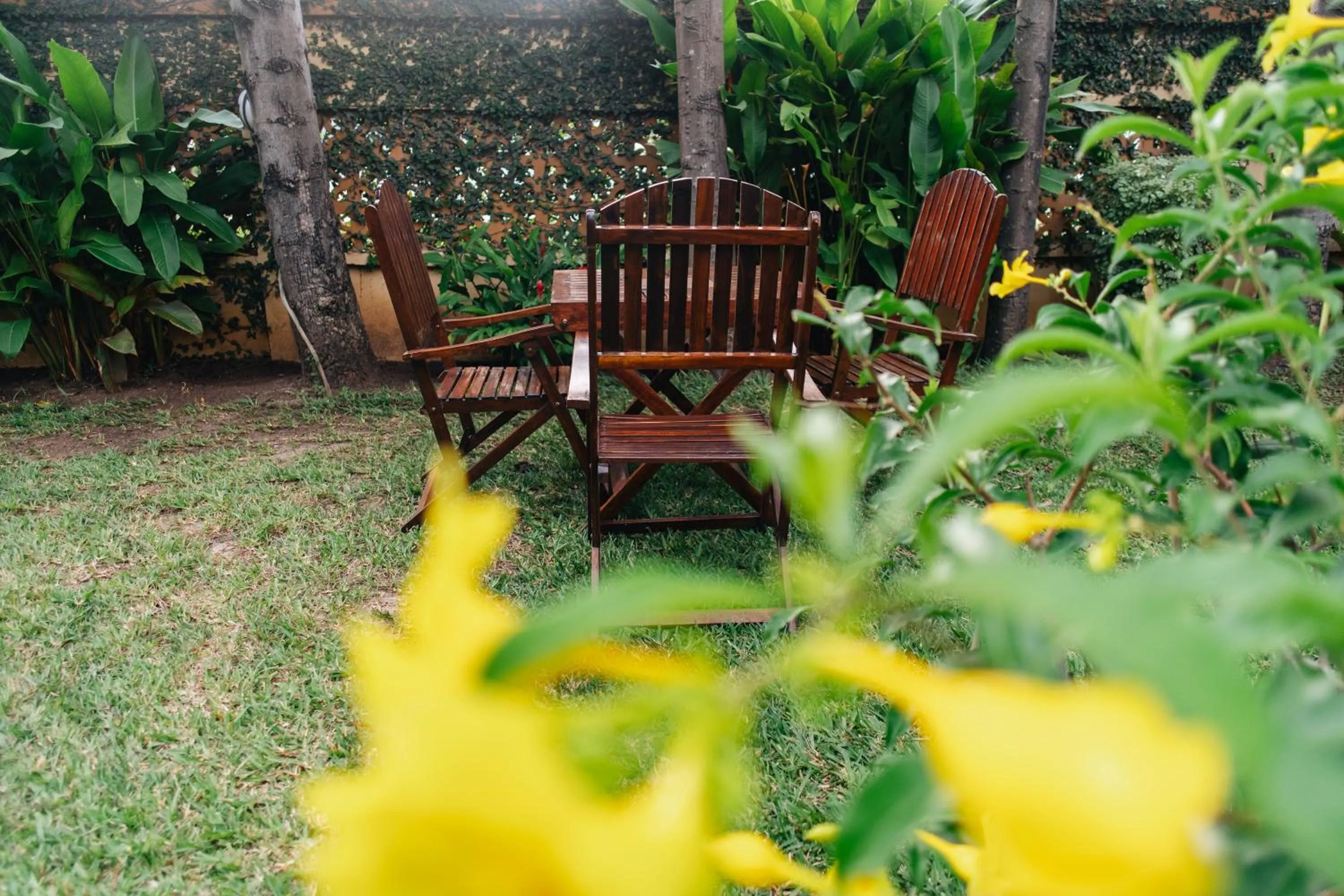 Garden view in The Amariah Hotel & Apartments Mikocheni