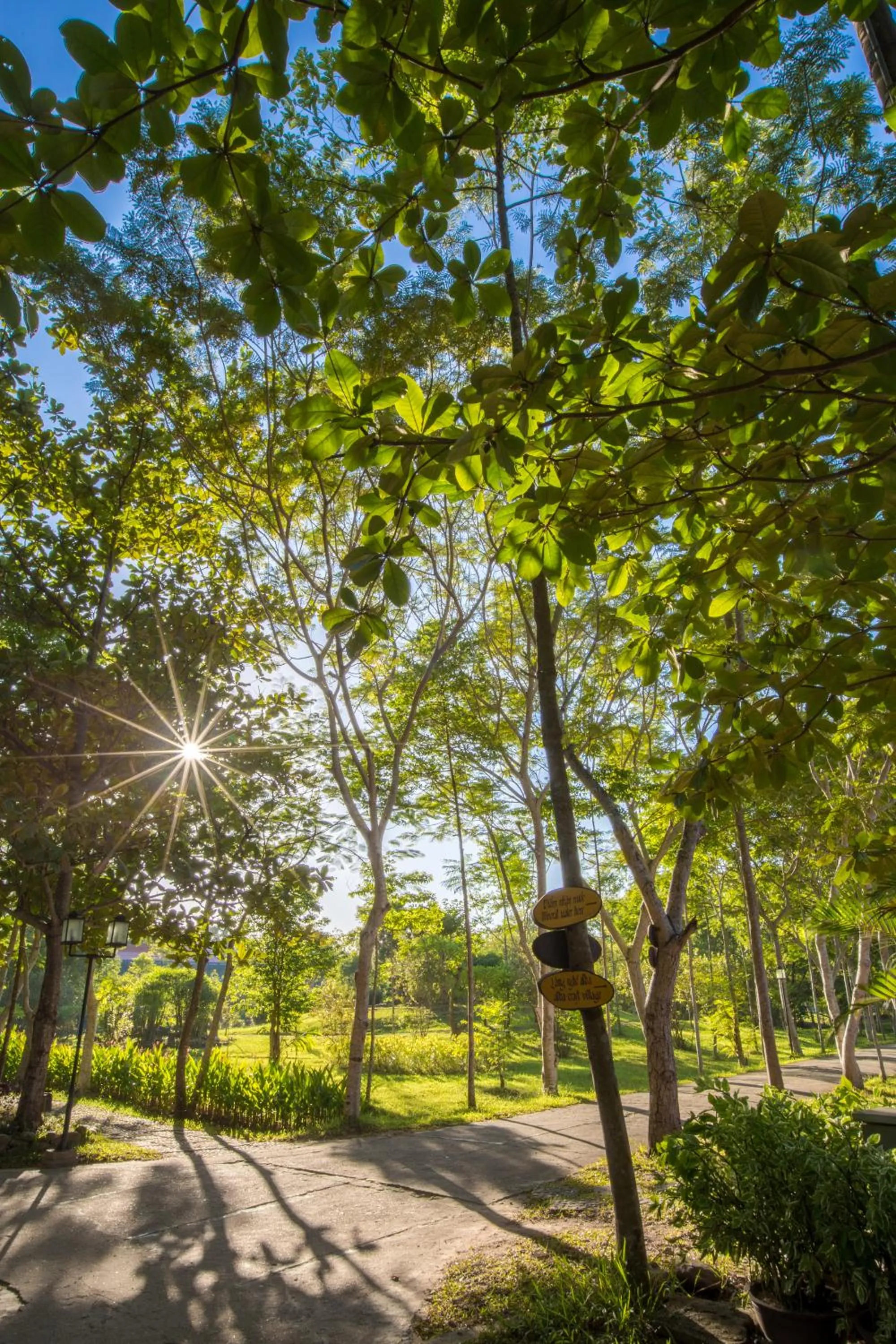 Other in Thanh Tan Hot Springs By Fusion
