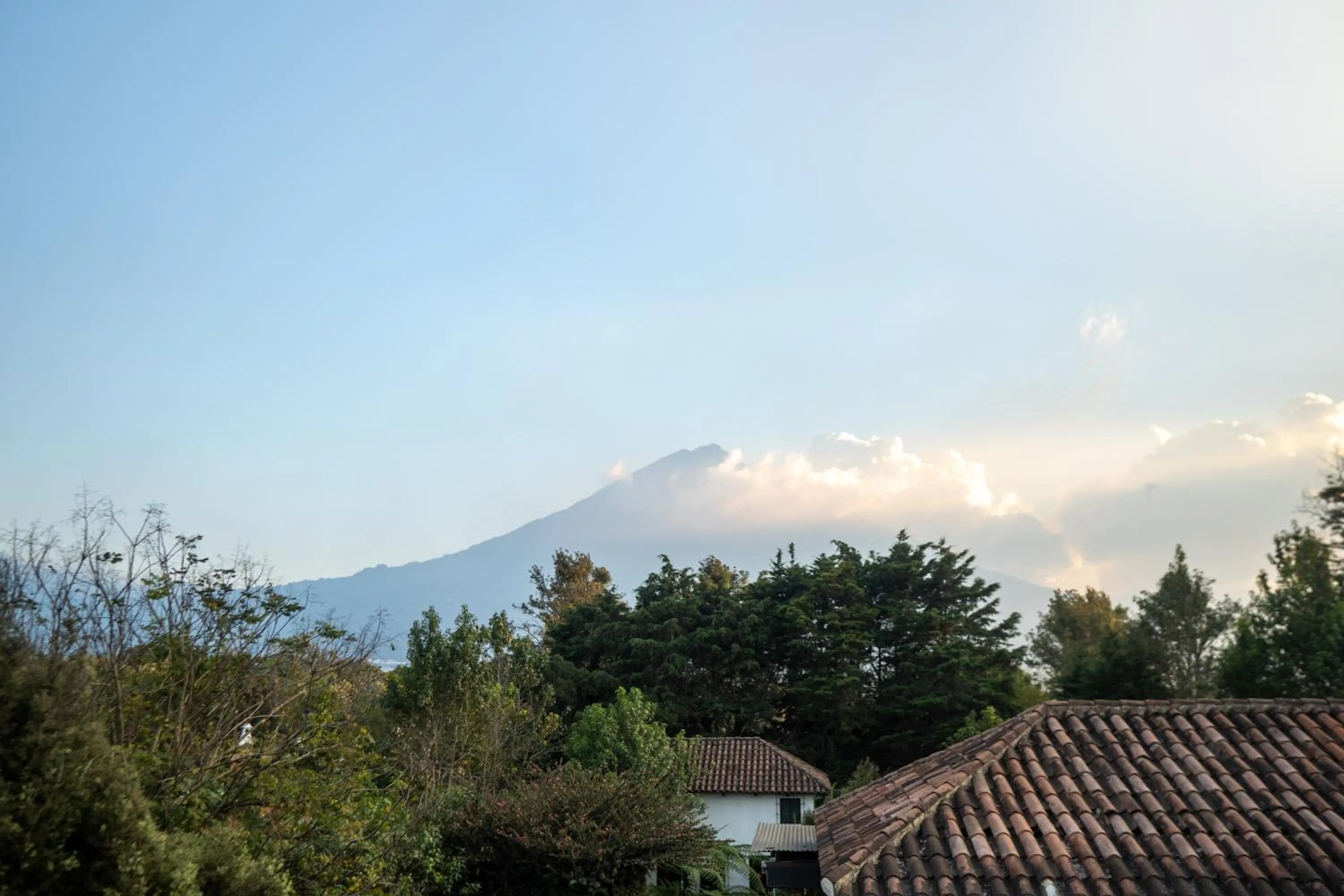 Garden view in Indian Palace Hotel Boutique Spa & Restaurante