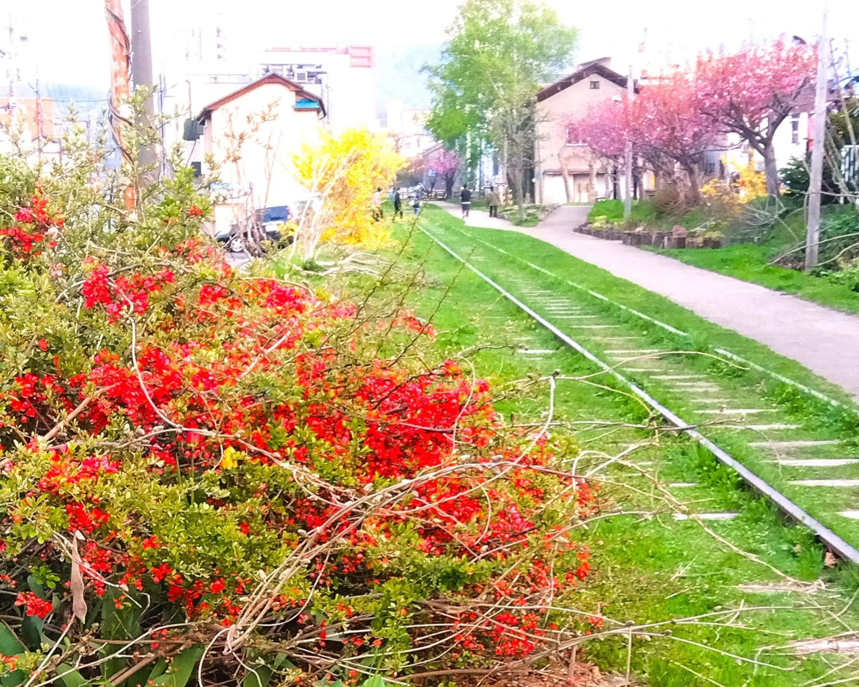 Nearby landmark in GRIDS PREMIUM HOTEL OTARU