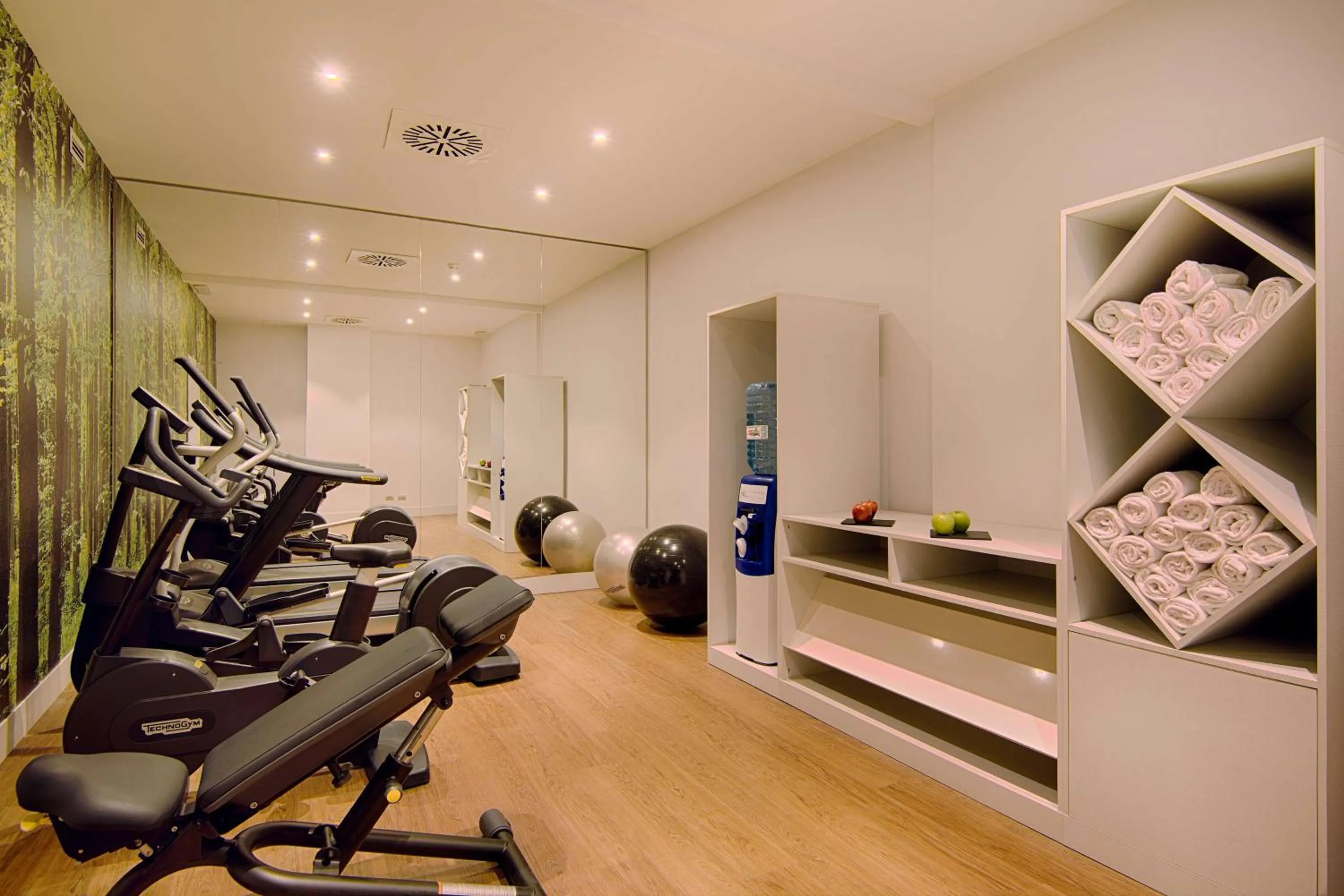 Fitness centre/facilities in NH Torino Centro