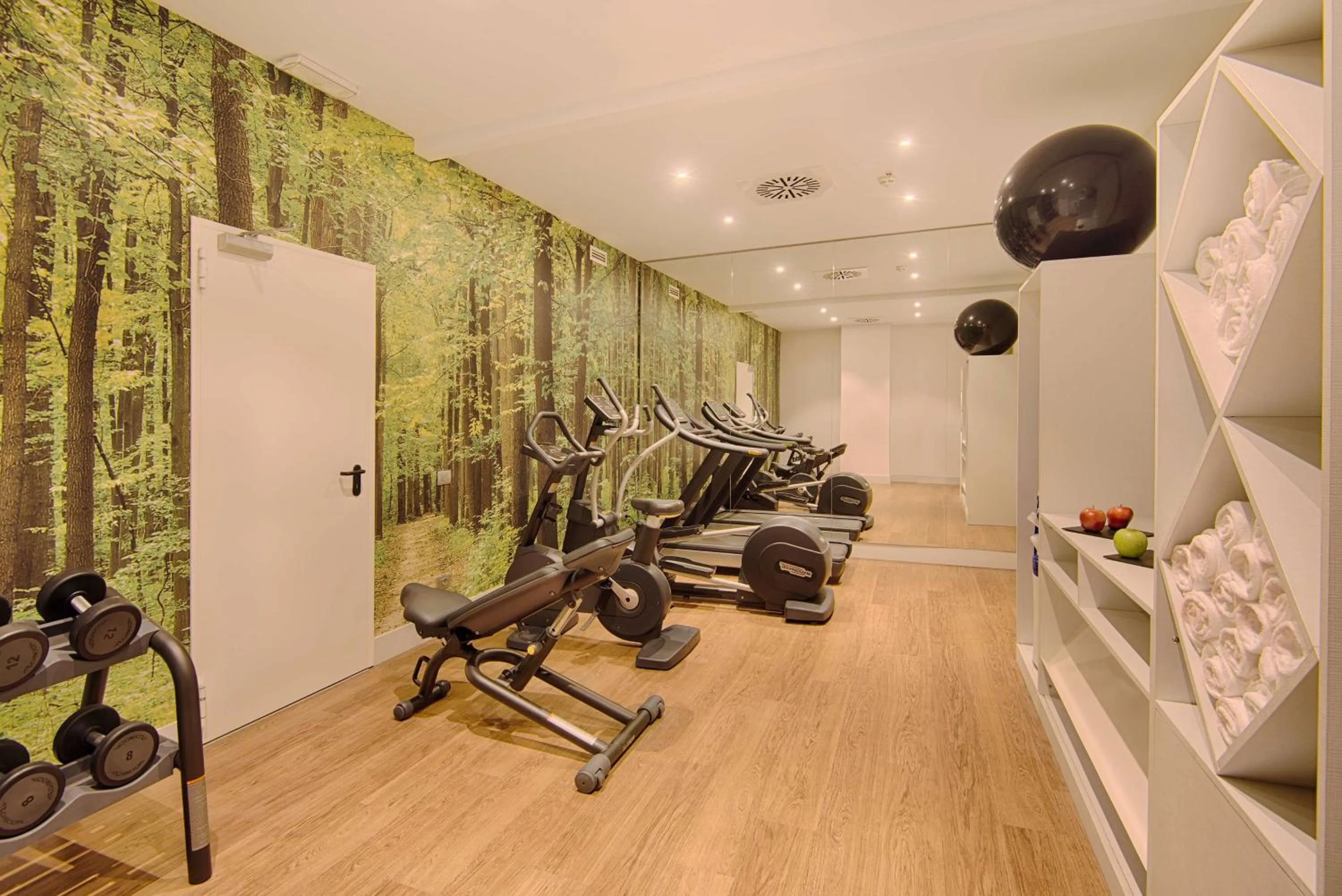 Fitness centre/facilities in NH Torino Centro