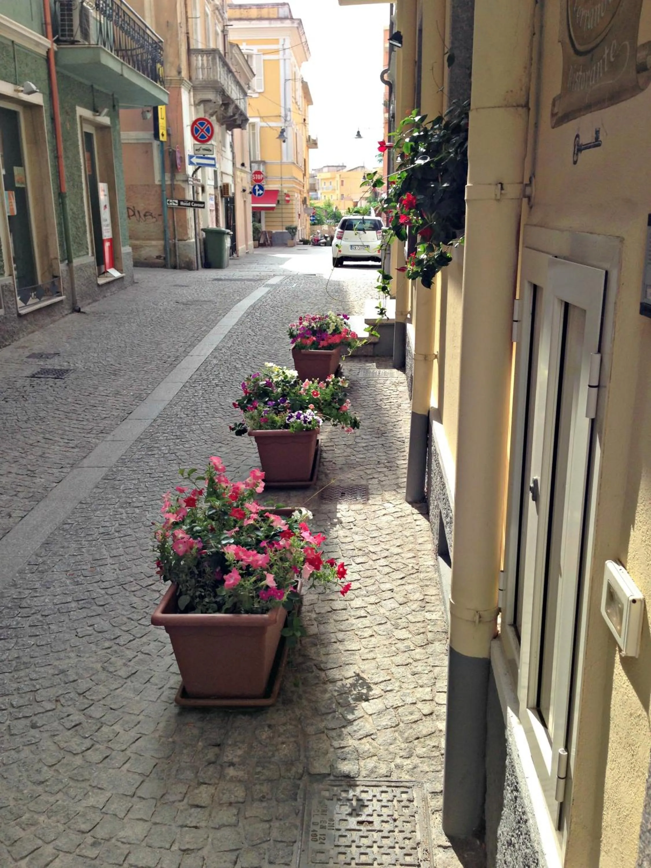 Facade/entrance in Hotel Terranova
