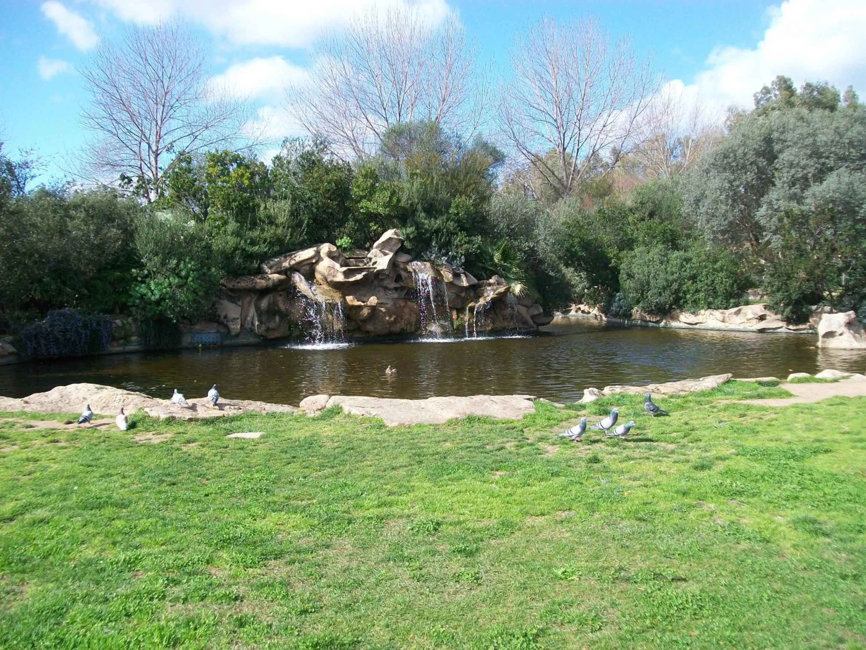 Area and facilities in Hotel Terranova