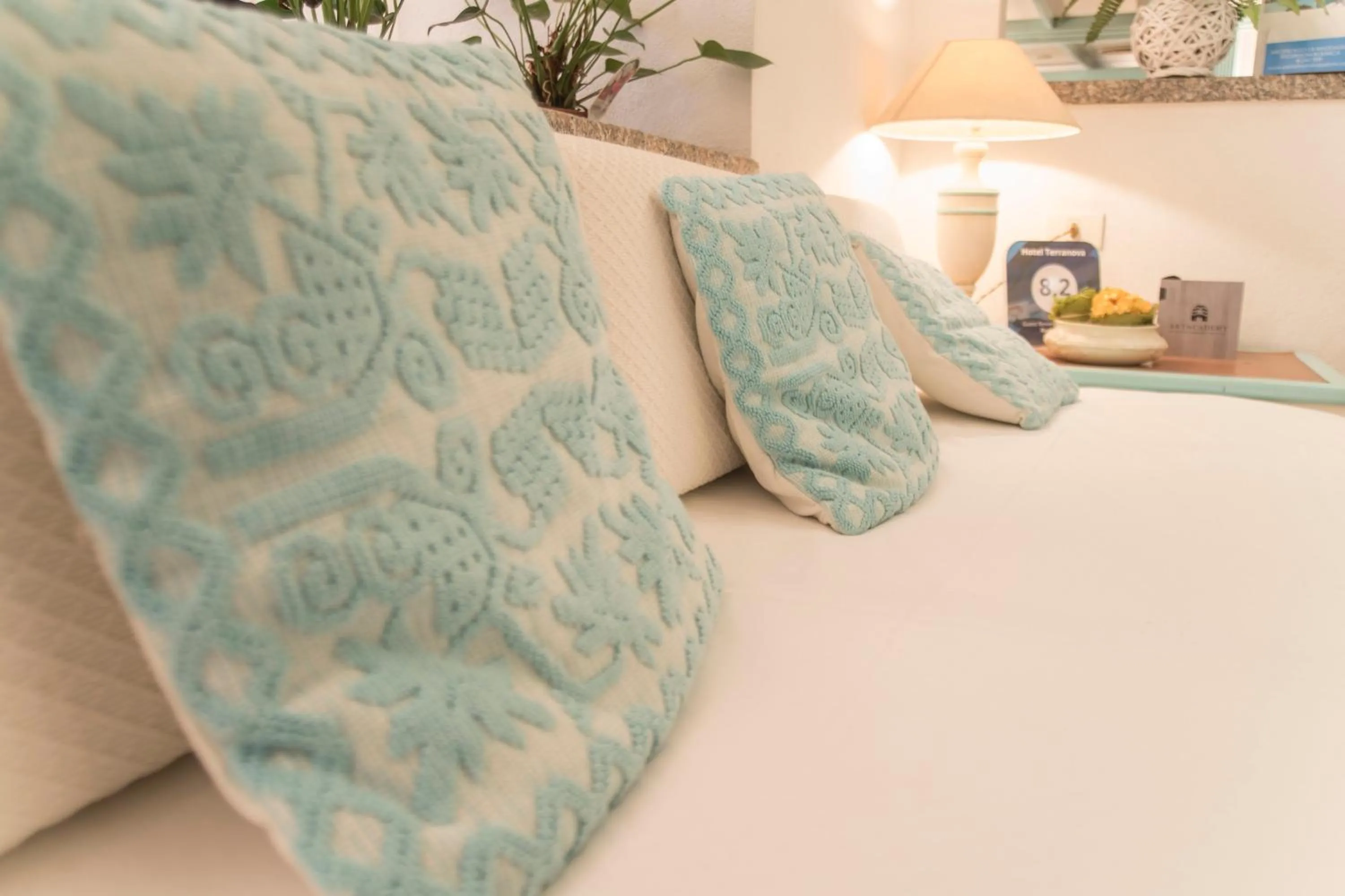 View (from property/room) in Hotel Terranova