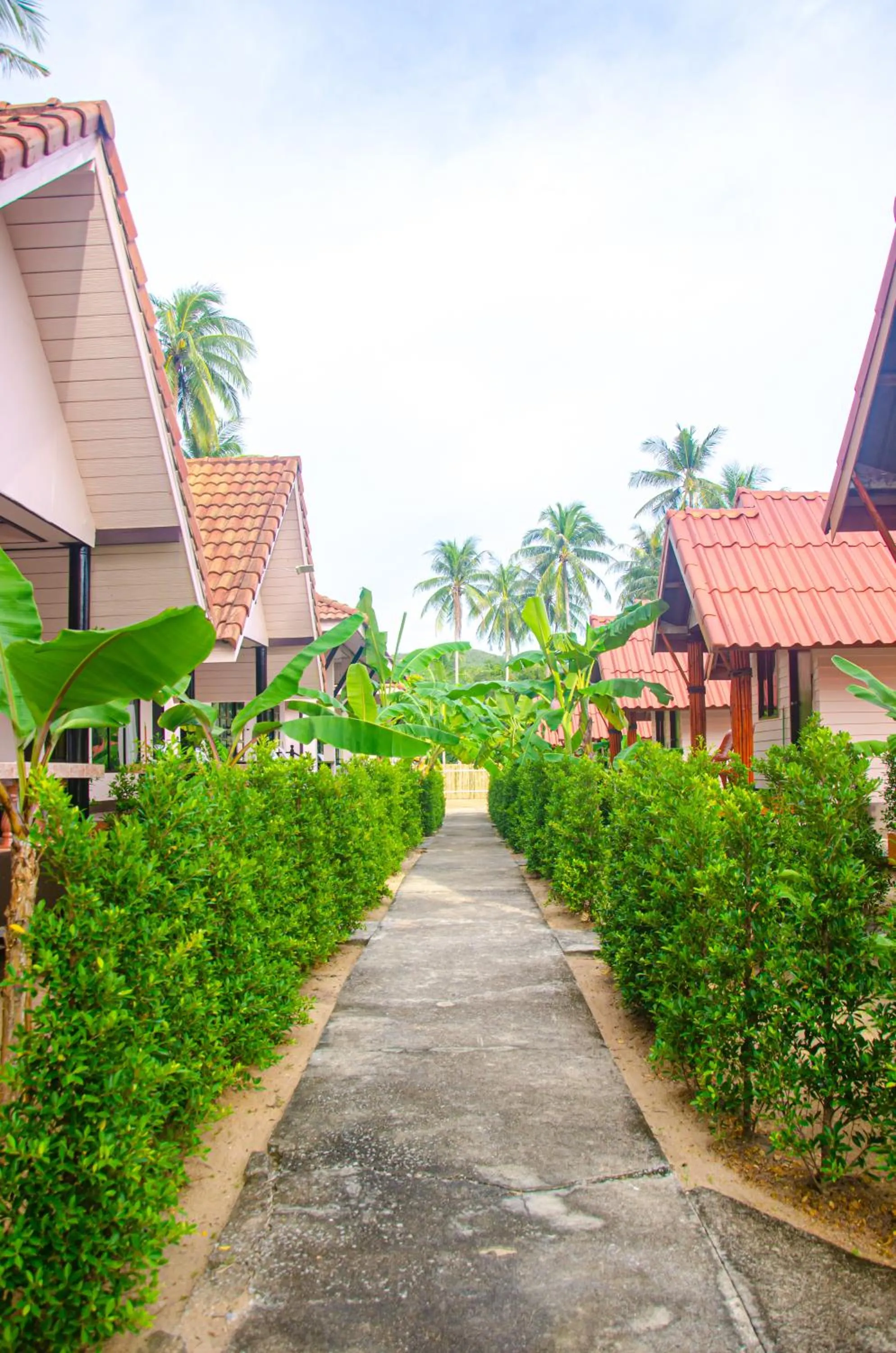 Property building in Lanta Family resort