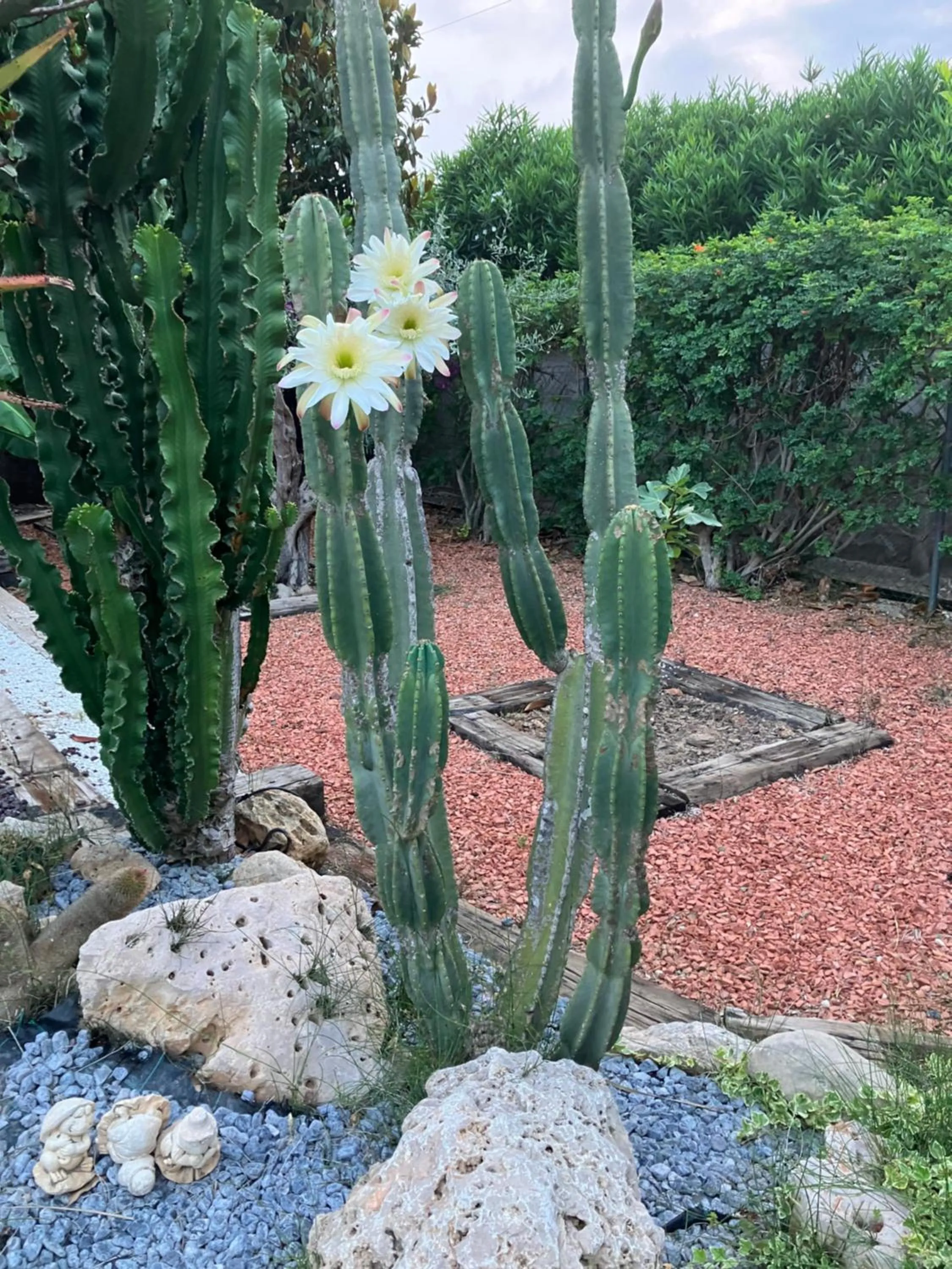 Swimming pool in L'Hotelet del Delta - adults
