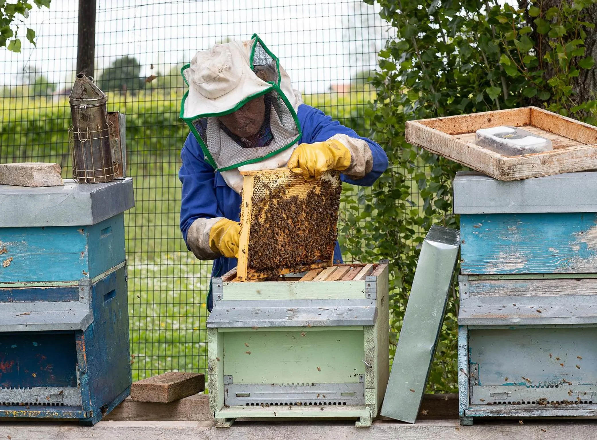 Garden in Ancora Sport Resort Hotel