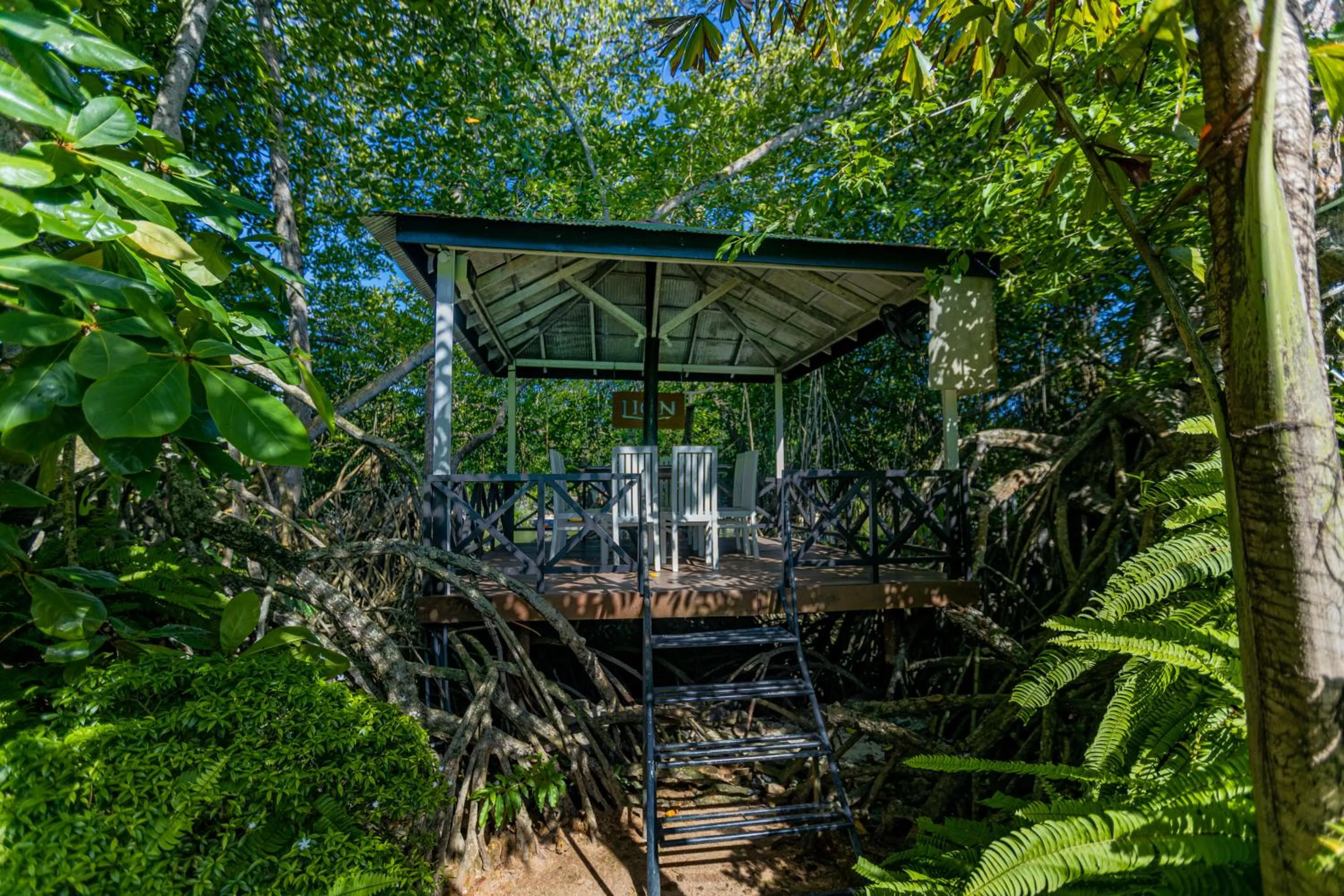 THE Mangrove cave Hotel