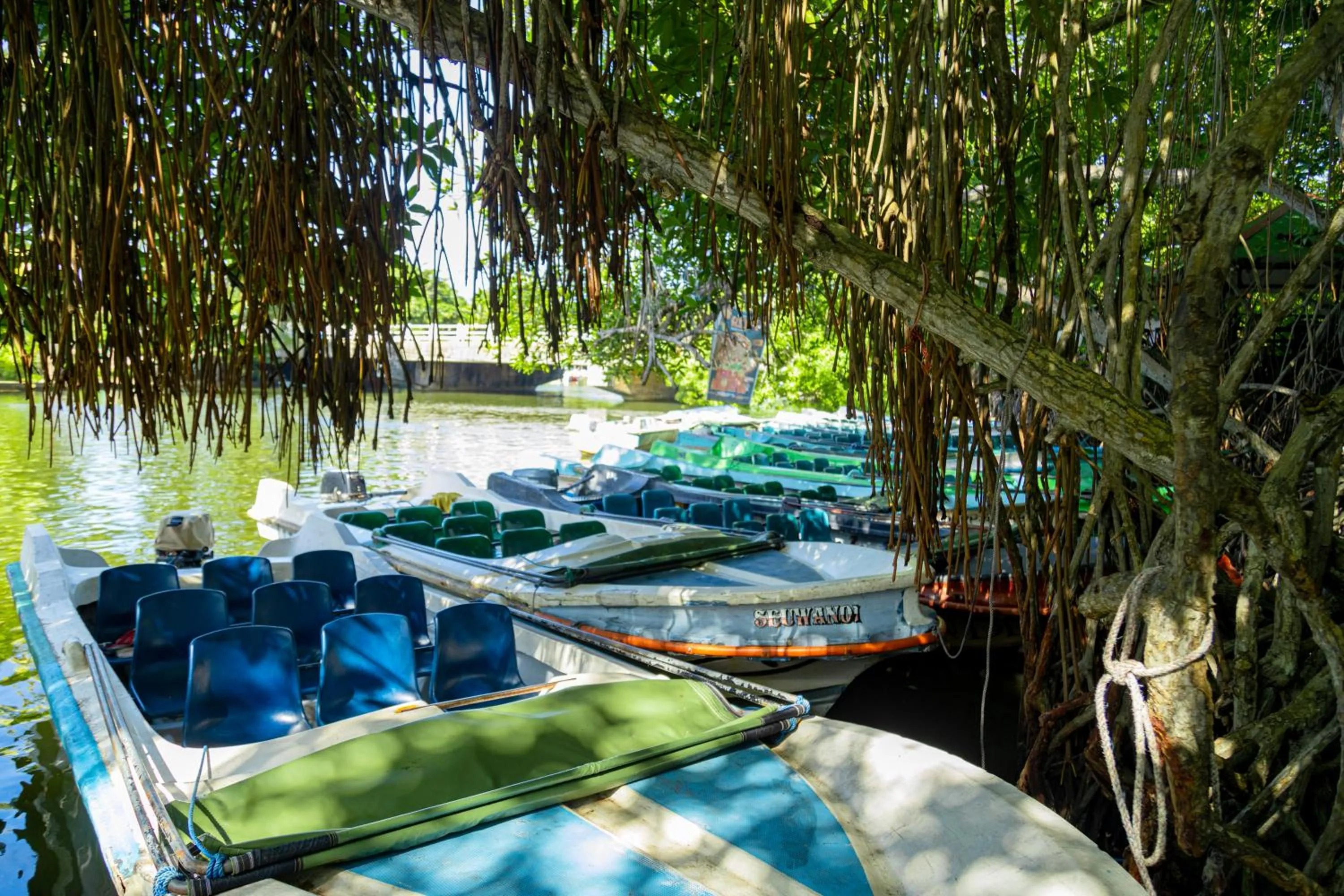 THE Mangrove cave Hotel