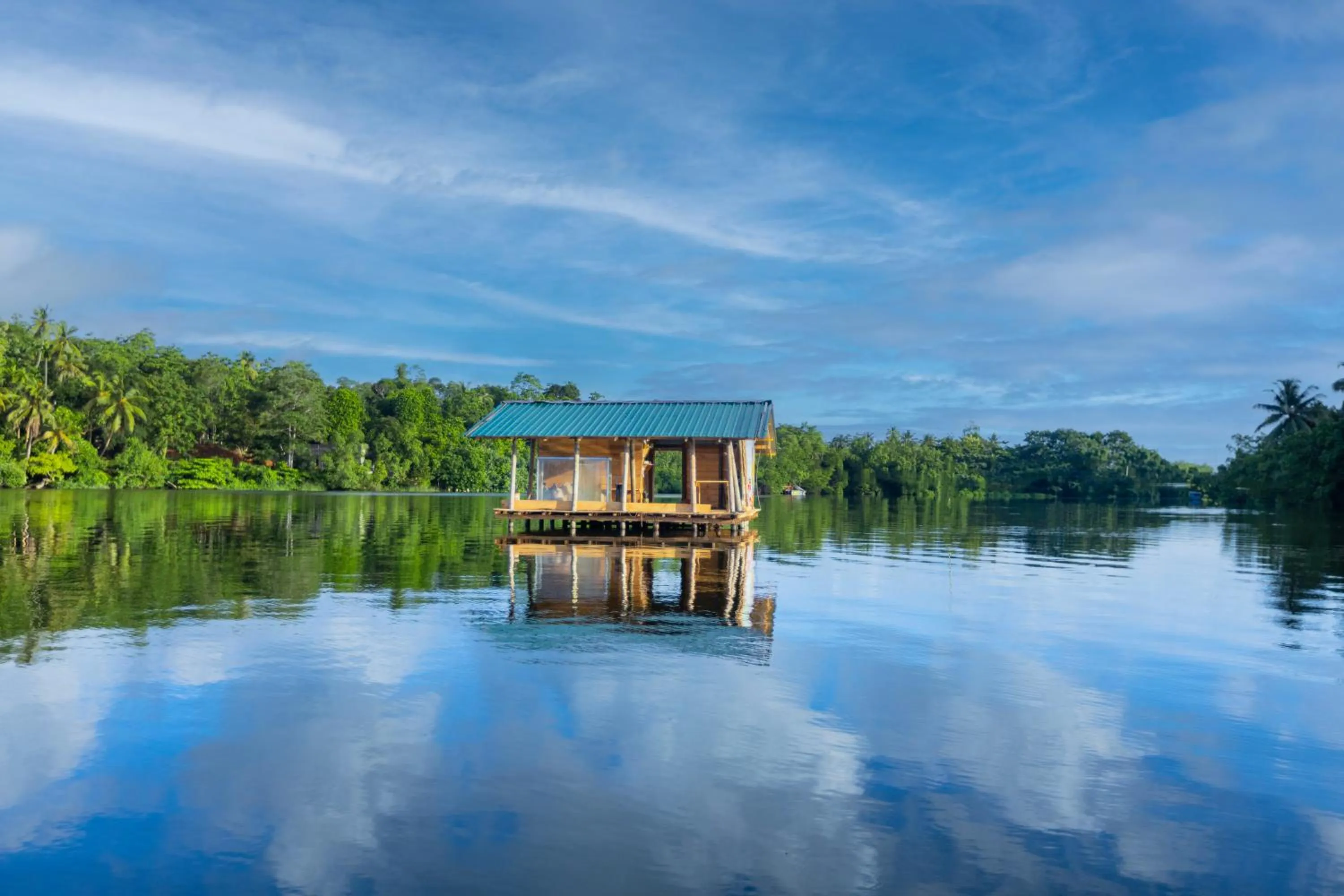 Natural landscape in THE Mangrove cave Hotel