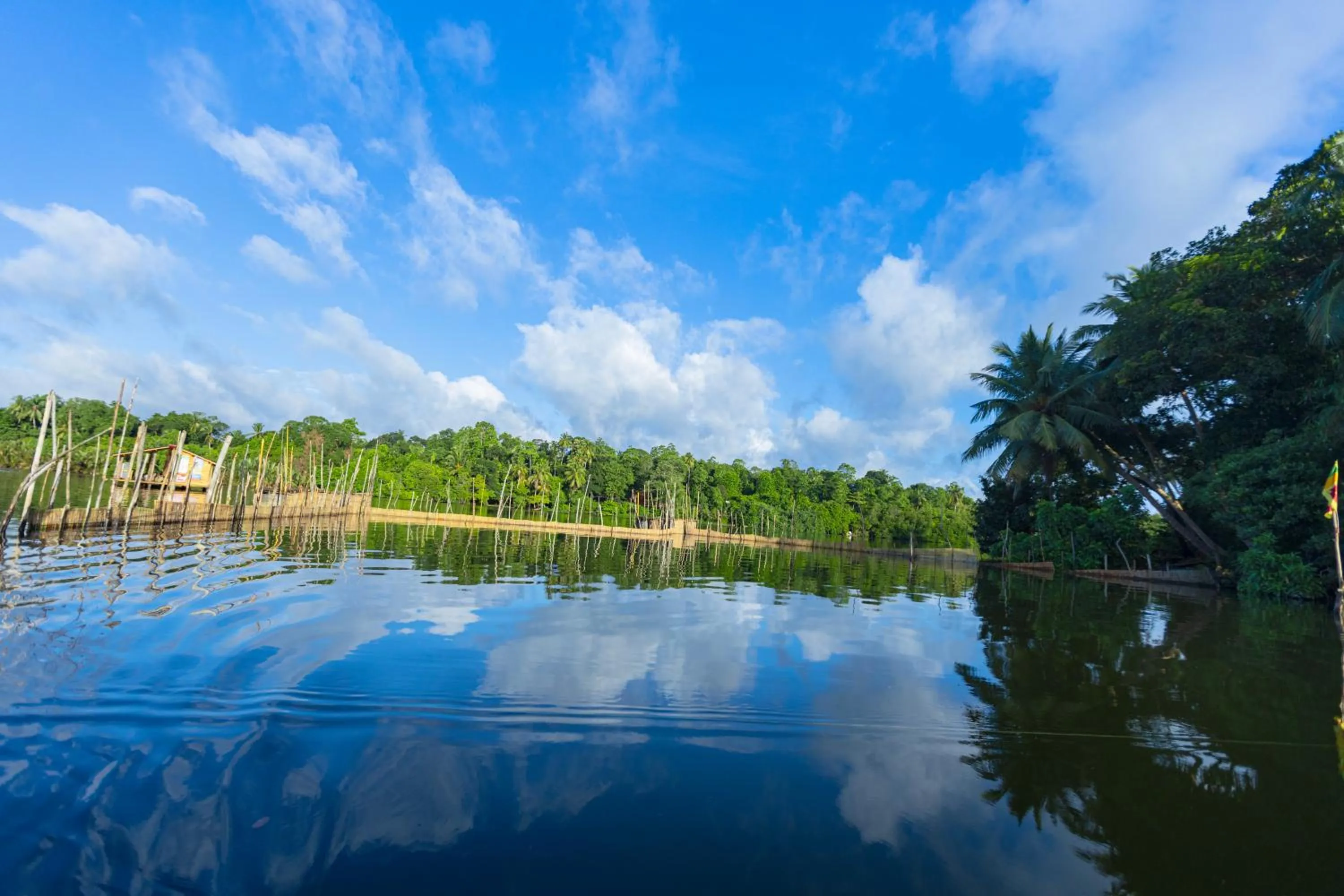 Natural landscape in THE Mangrove cave Hotel