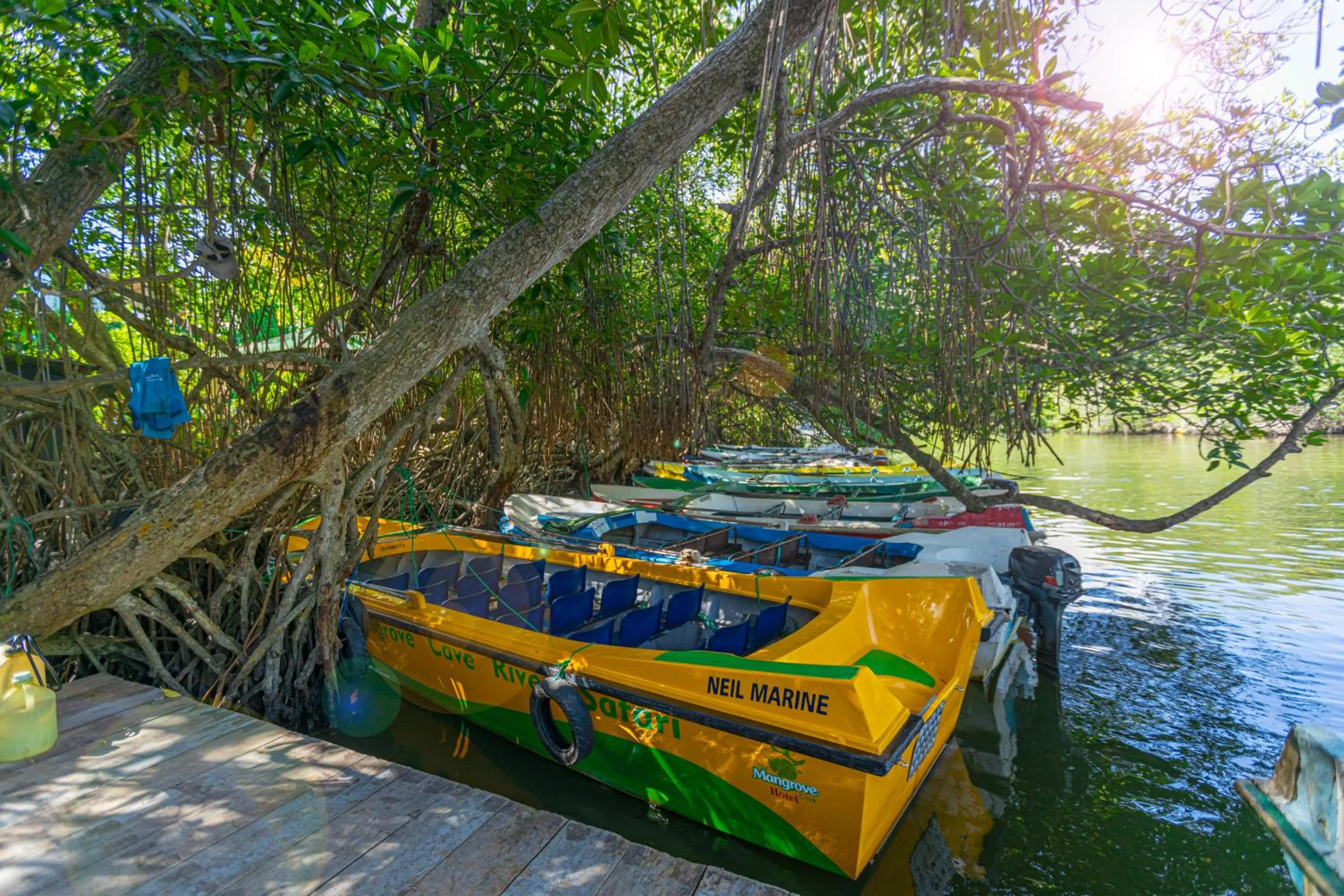 THE Mangrove cave Hotel