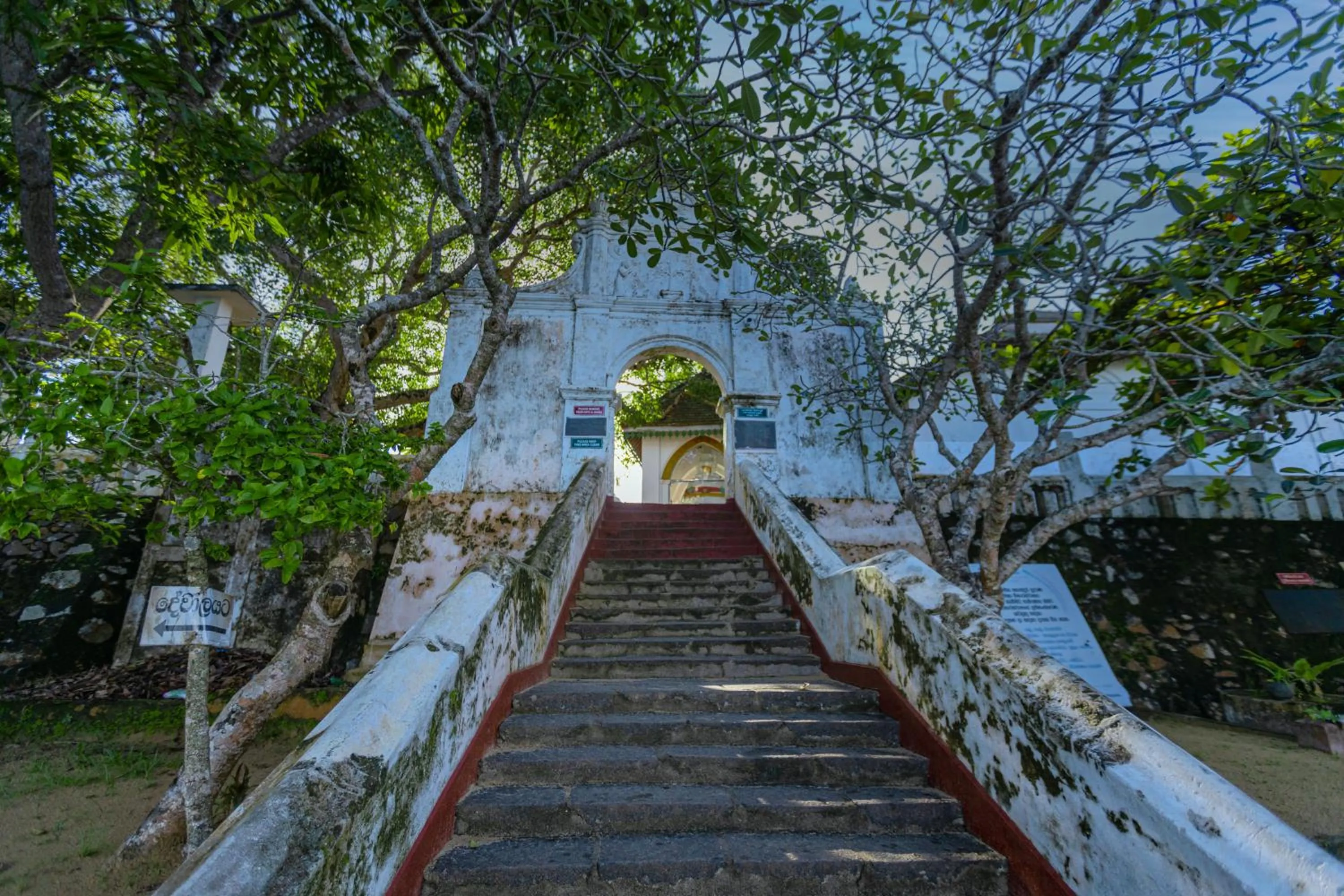 THE Mangrove cave Hotel