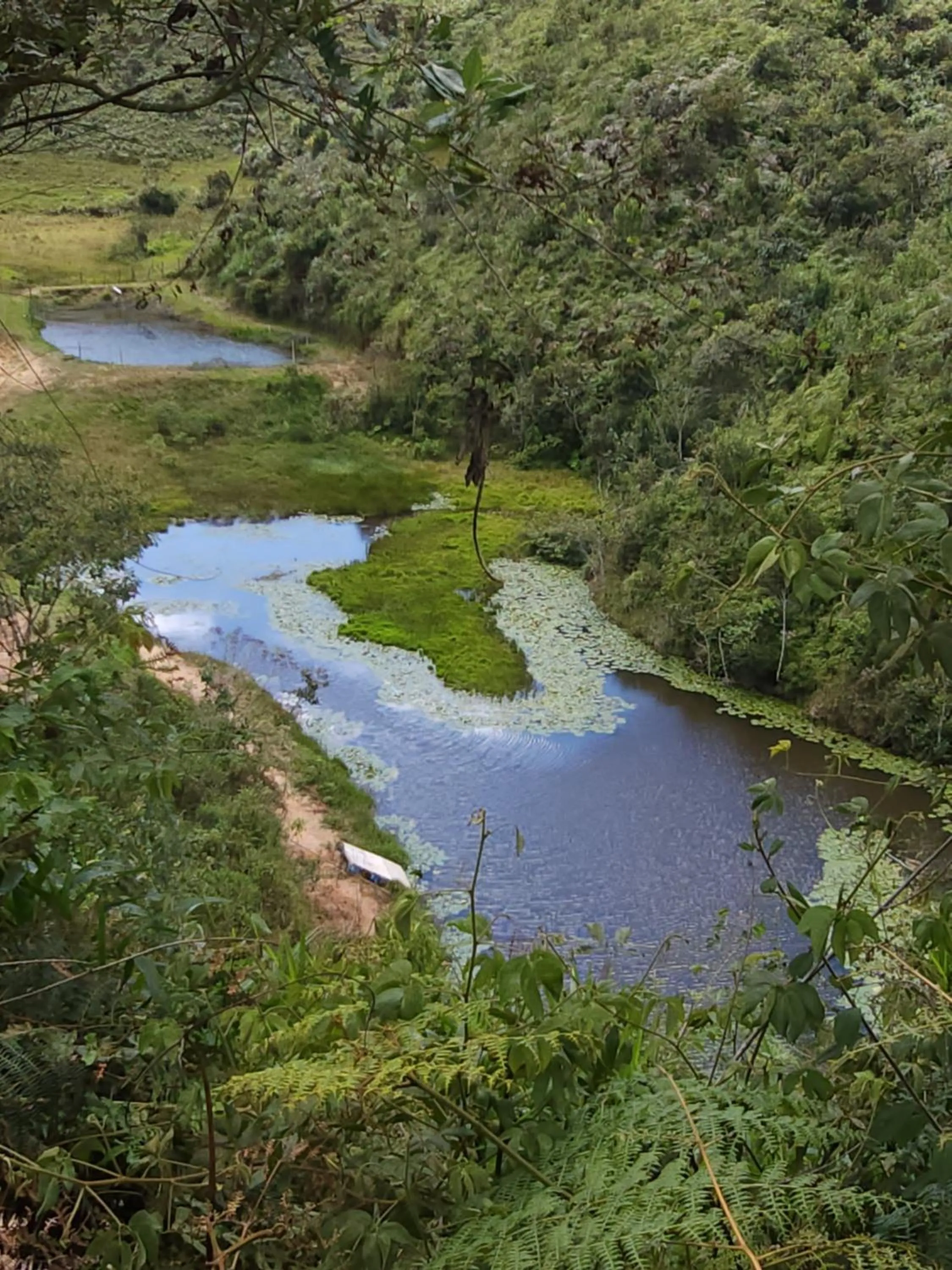 Lake view in HOSTERÍA BRISAS DEL RÍO