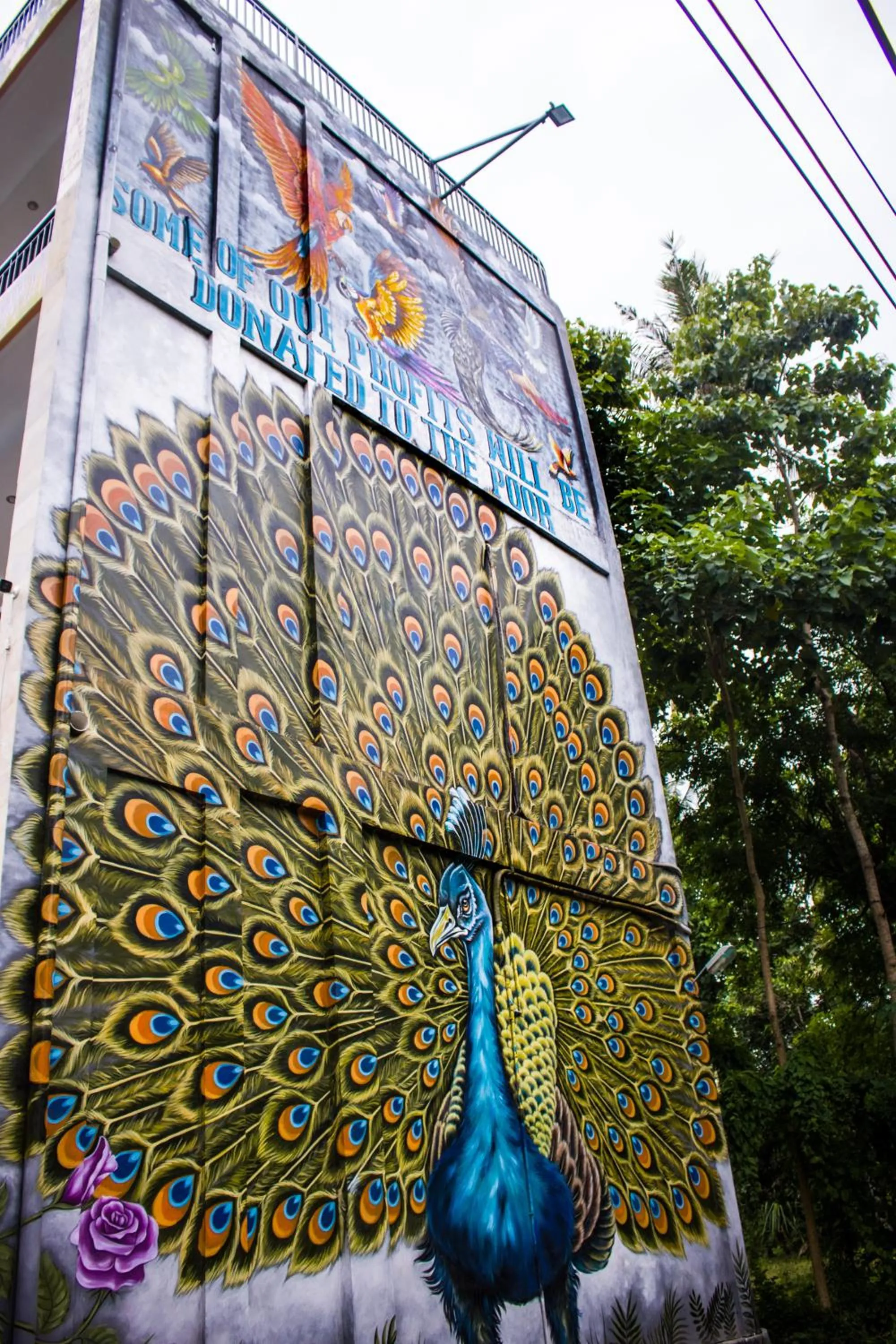 Property building in Bali 85 Beach Inn