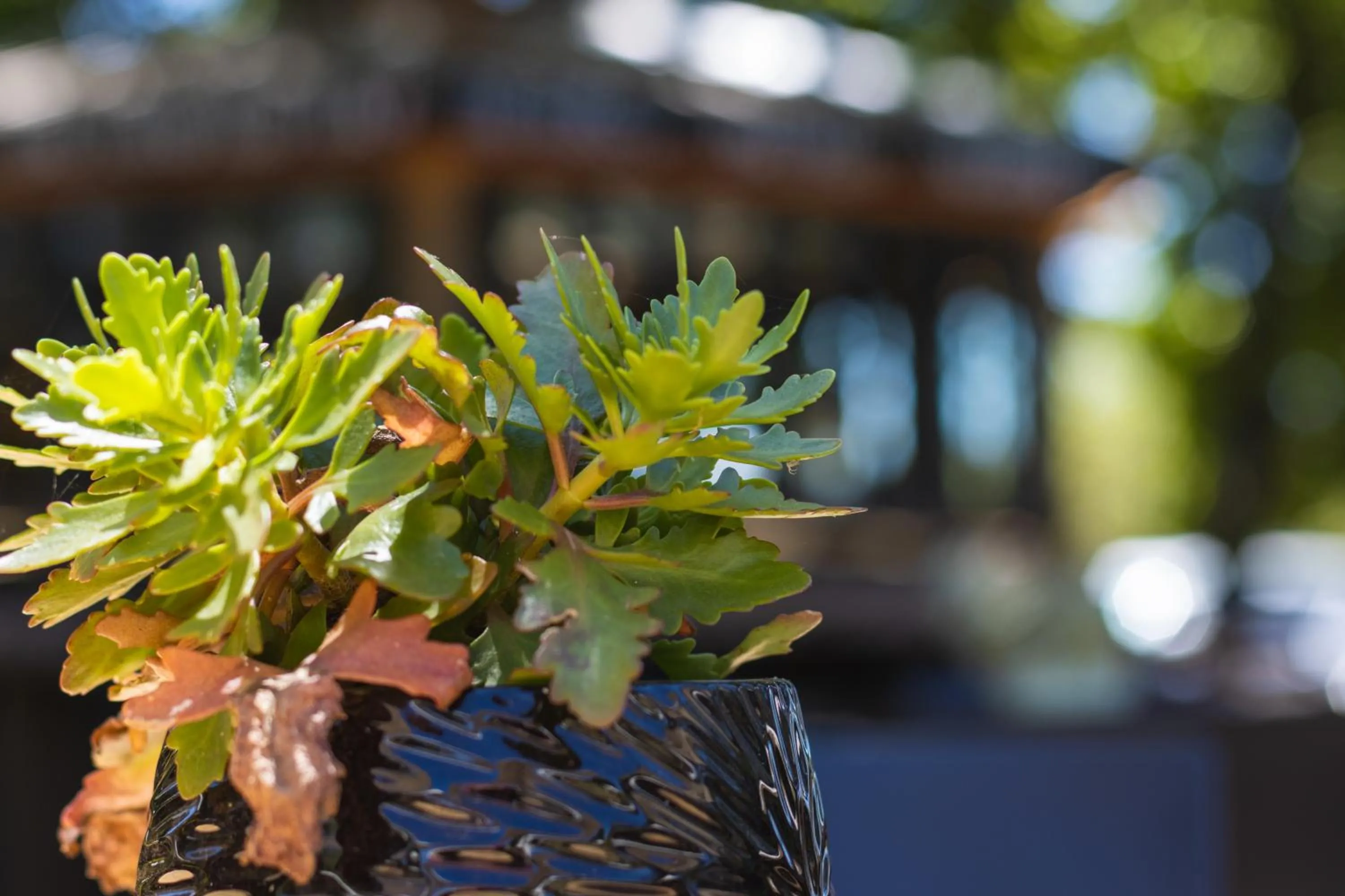 Facade/entrance in Val de Vine