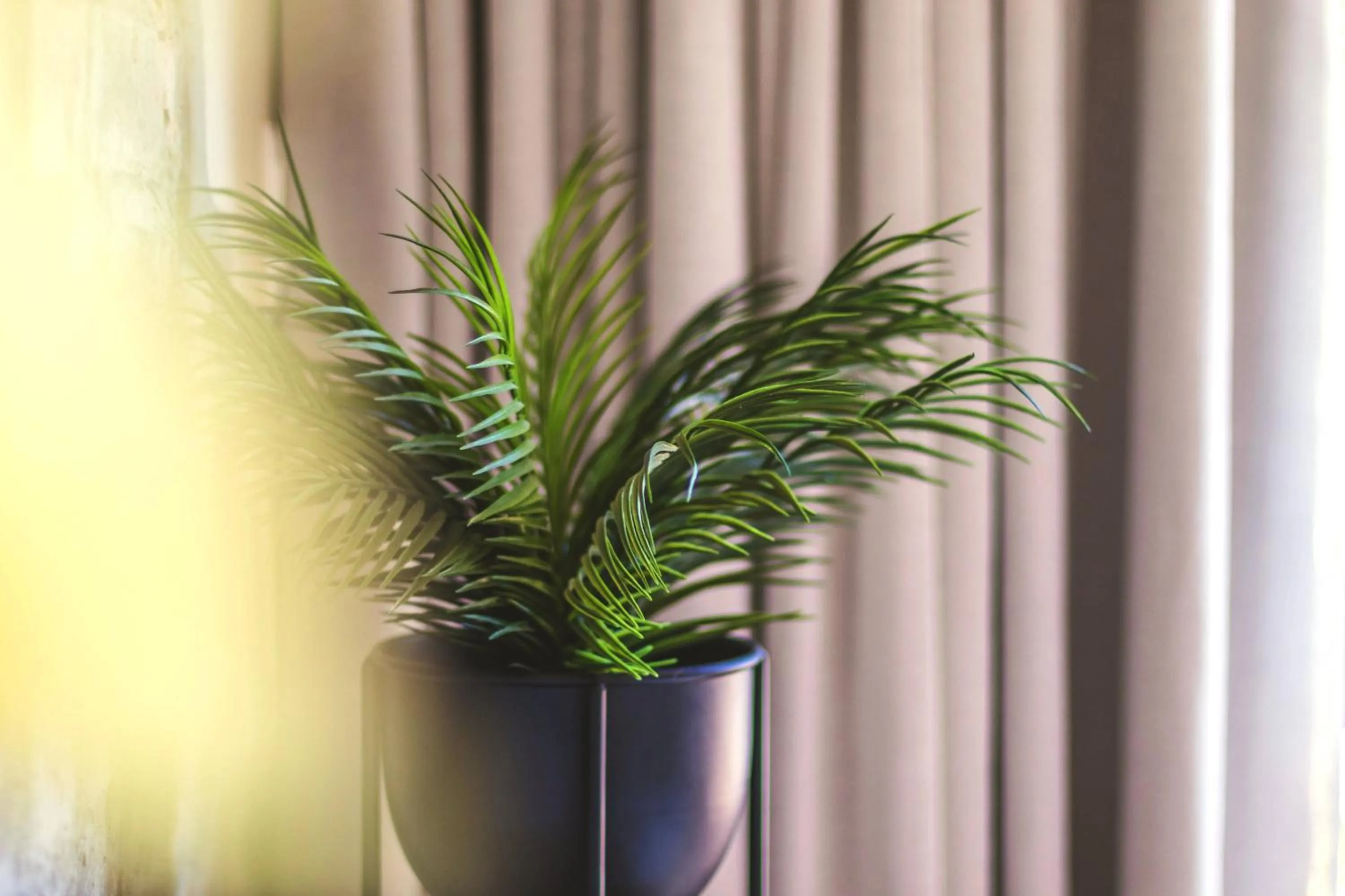 Decorative detail in Val de Vine