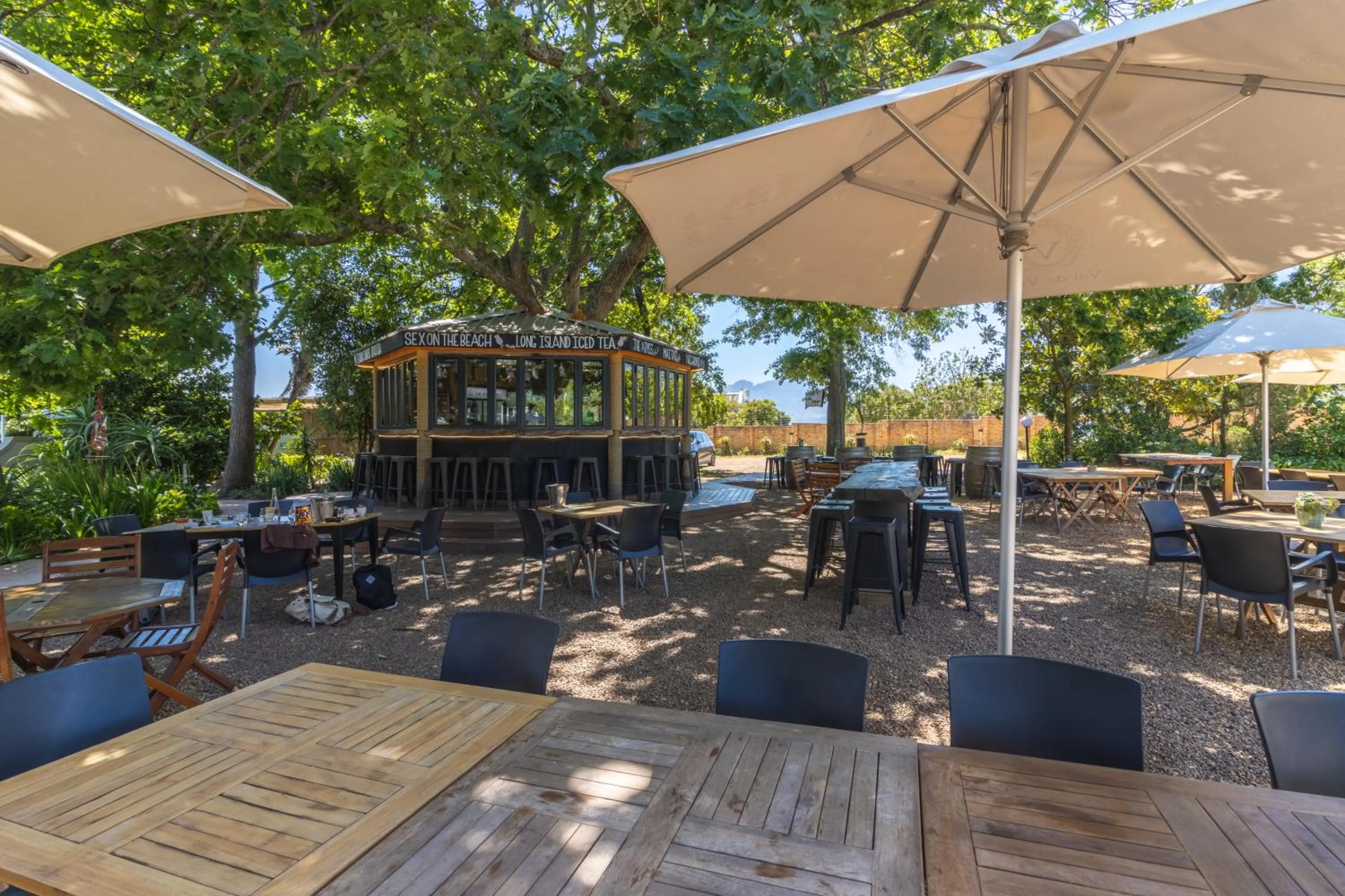 Lounge or bar in Val de Vine