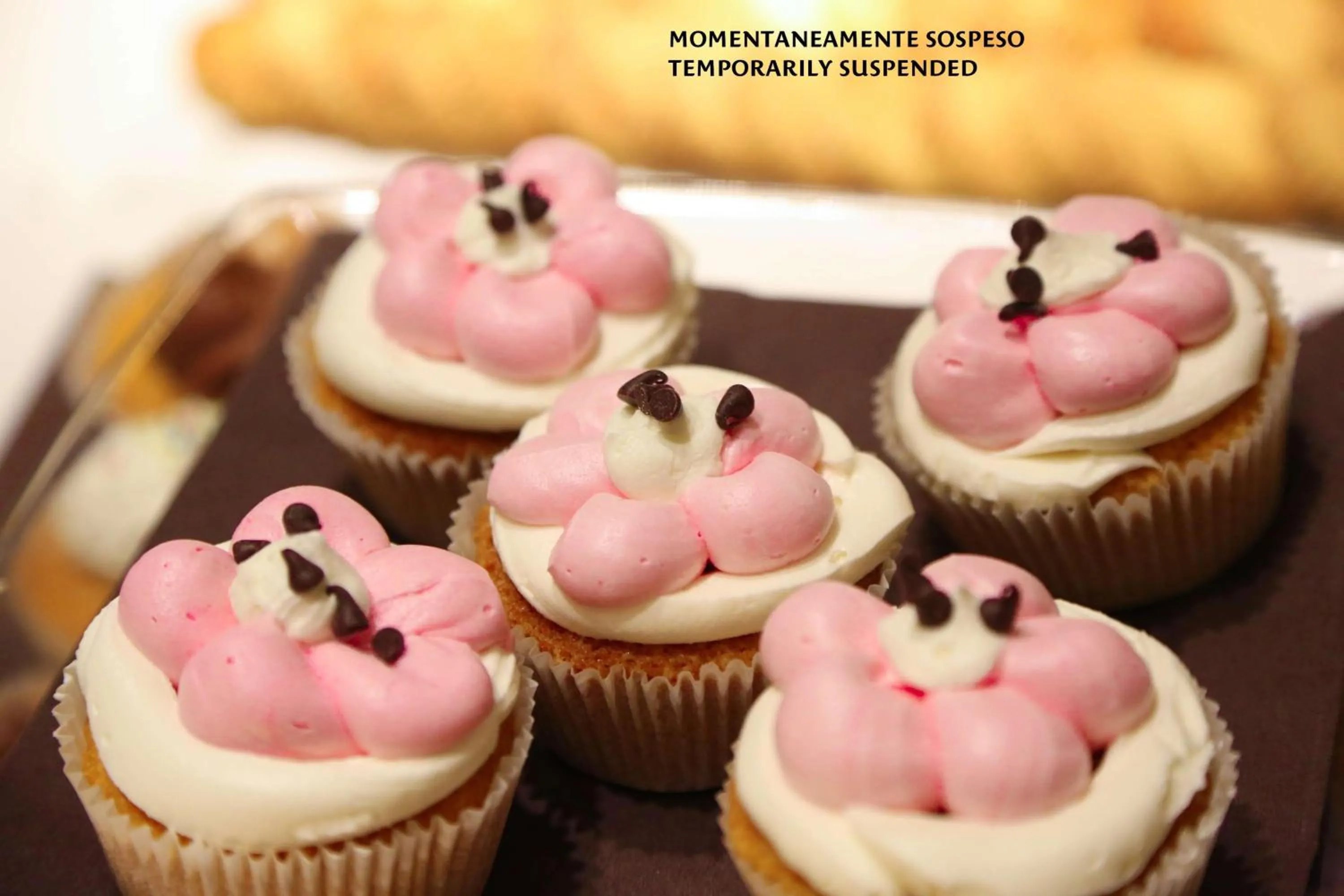 Restaurant/places to eat in Hotel Blaise & Francis