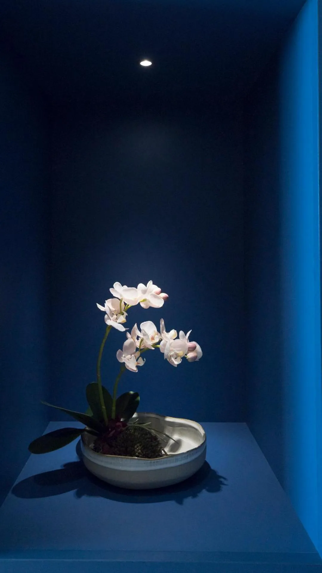 Decorative detail in Hotel Miro'