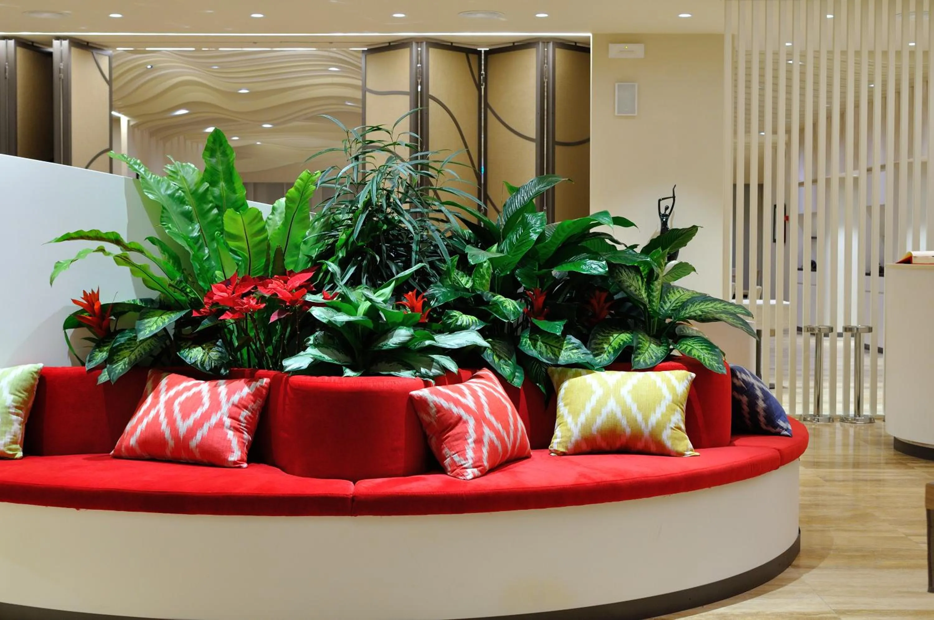 Restaurant/places to eat in Hotel Miro'