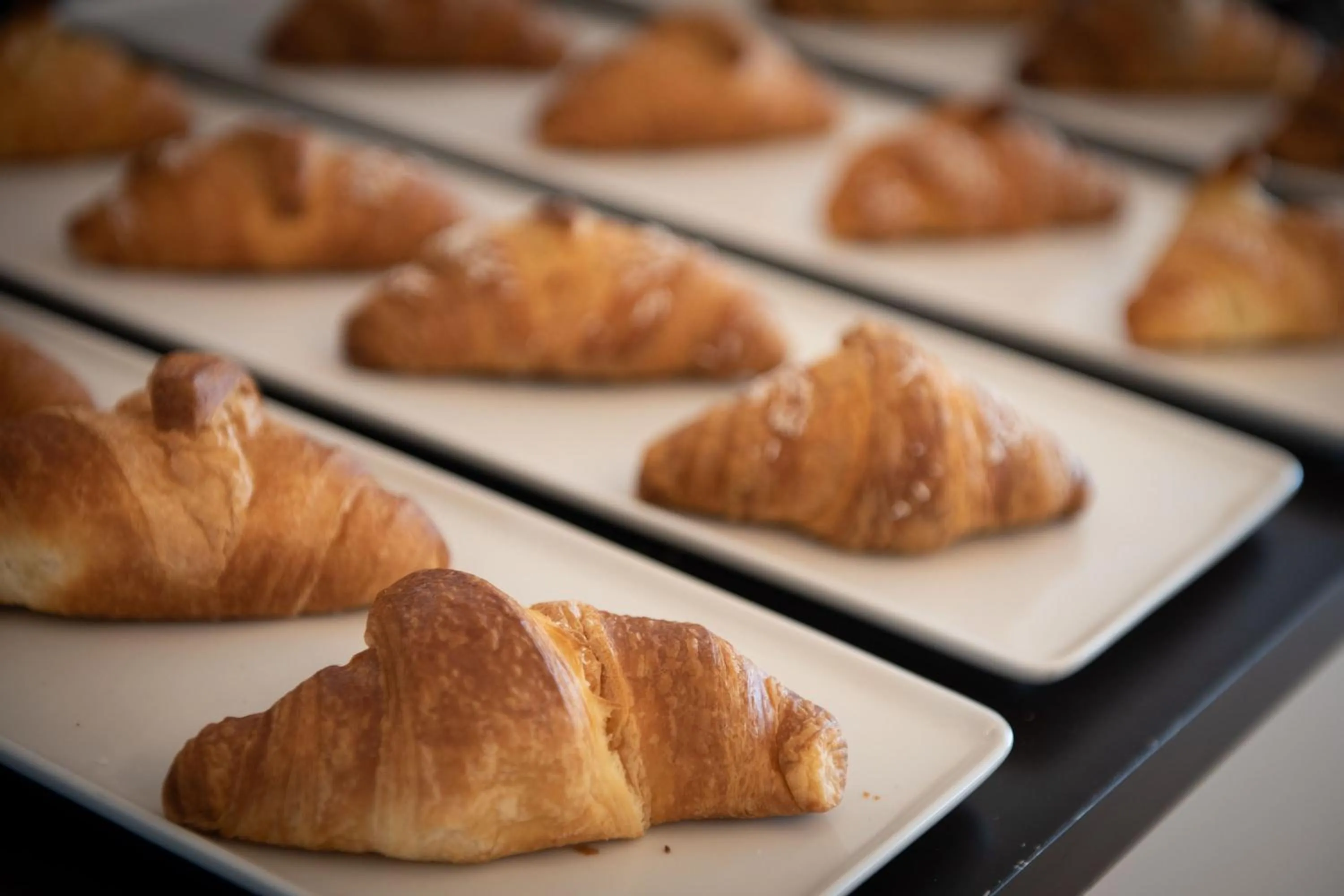 Food and drinks, Breakfast in Hotel Miro'