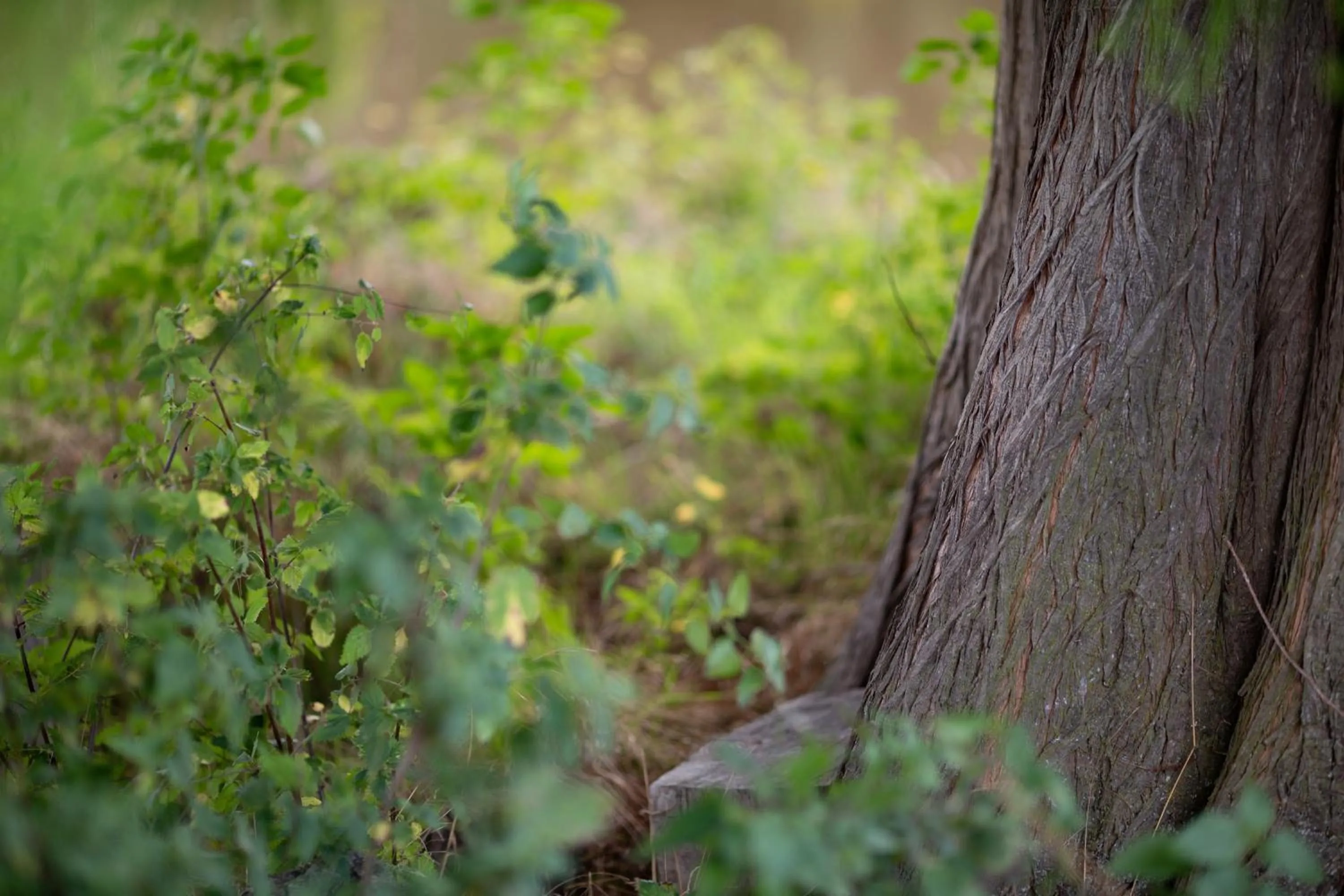 Spring in Domaine et Château de Valinches