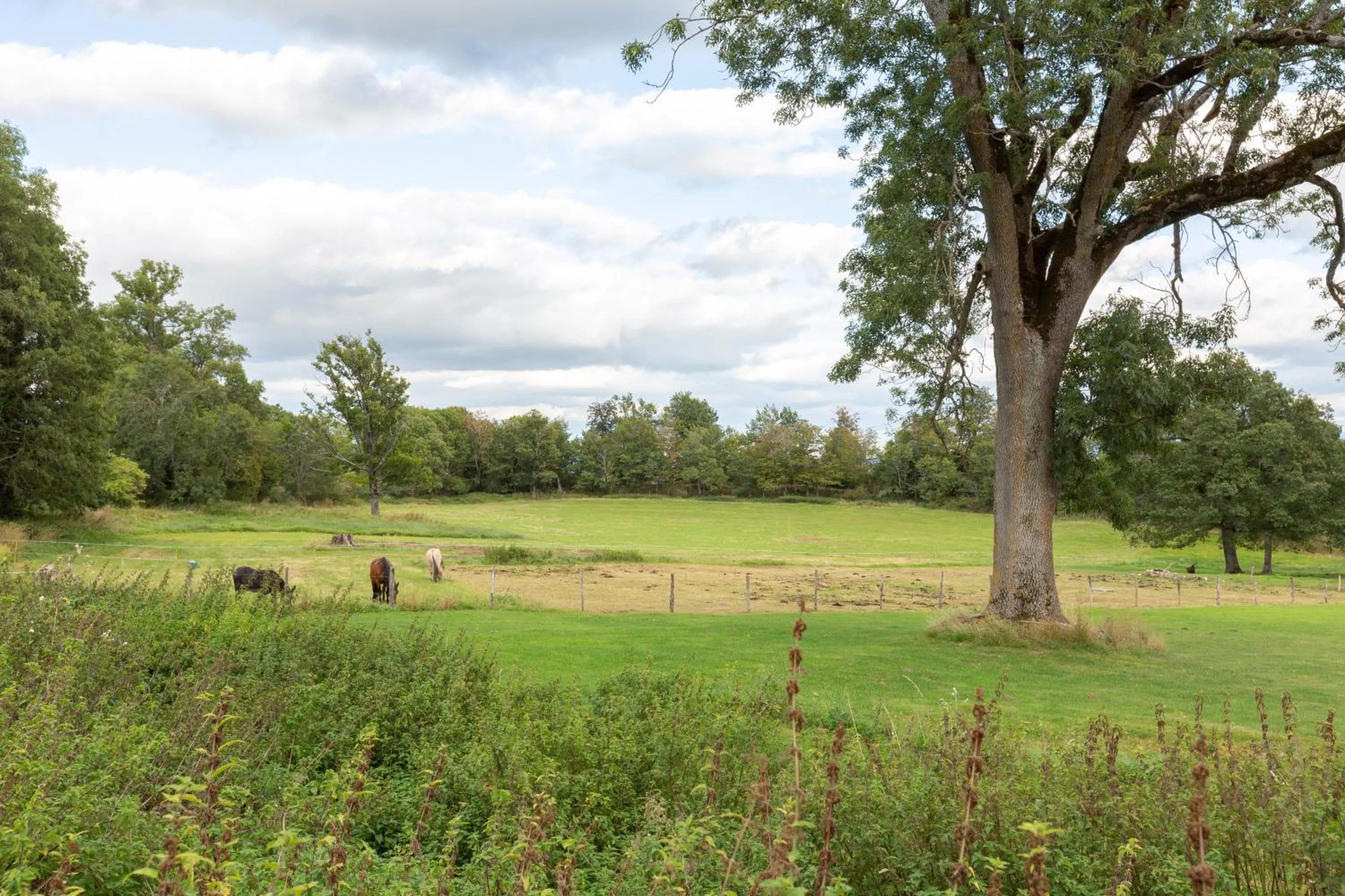 Domaine et Château de Valinches