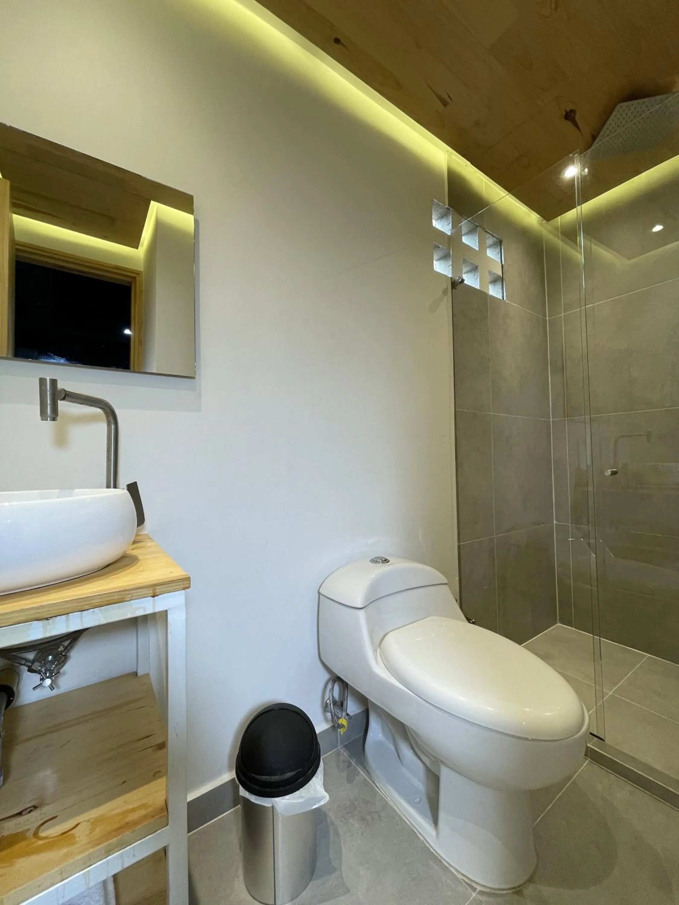 Toilet in Edificio Helena