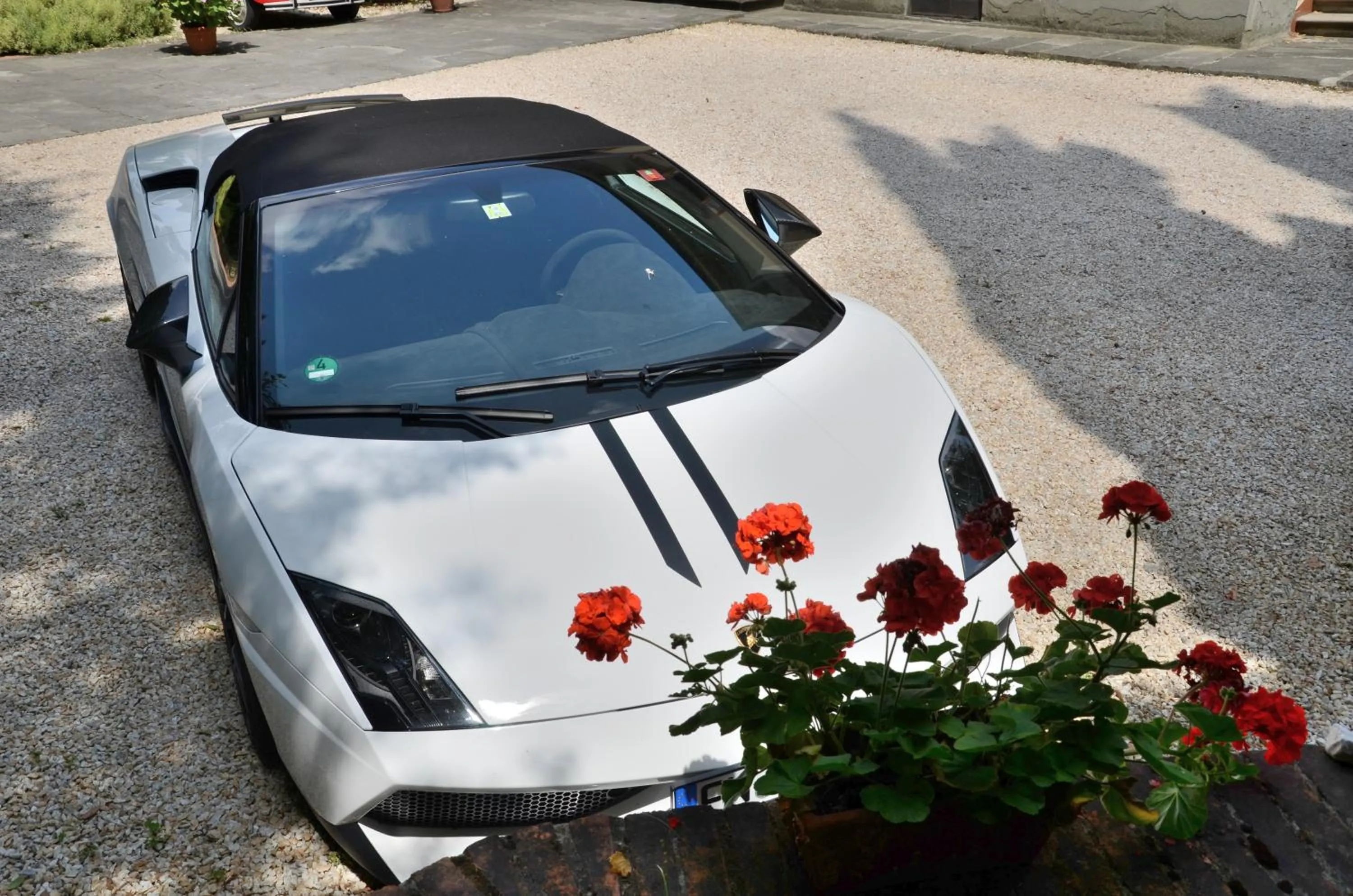 Day in Residence Michelangiolo