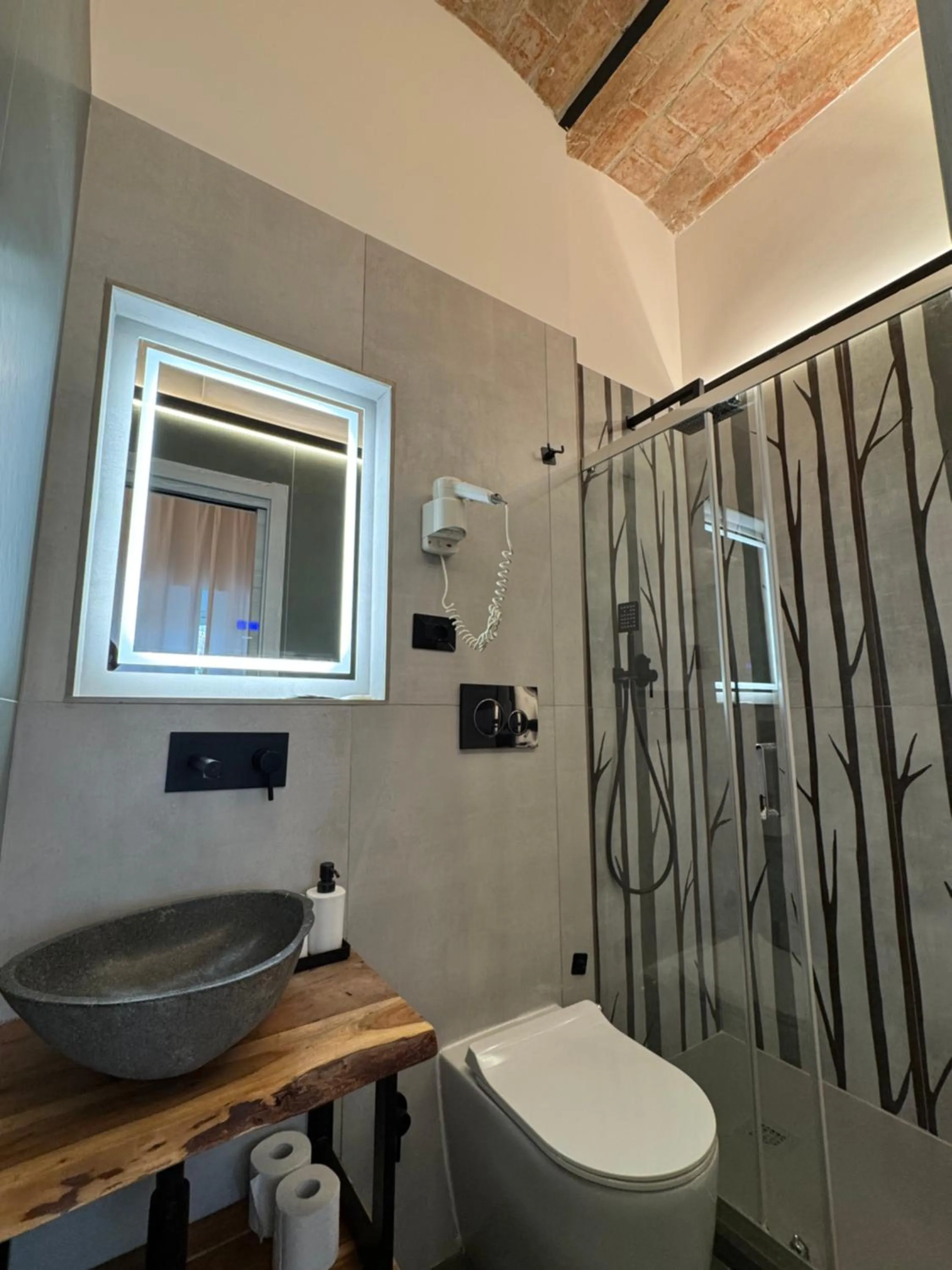 Shower in Hotel Felice