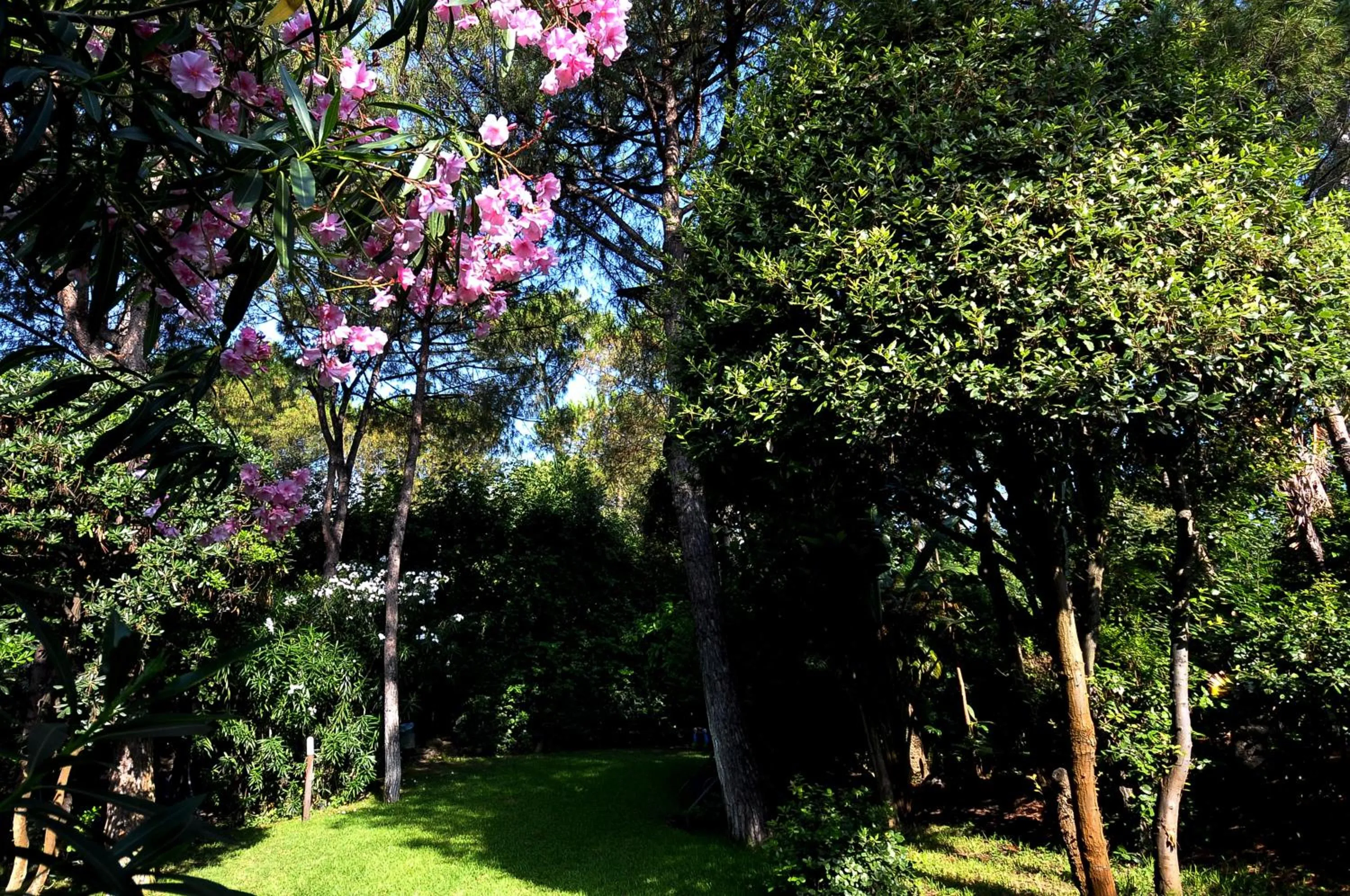 Natural landscape in Punta Molino Beach Resort & Thermal Spa