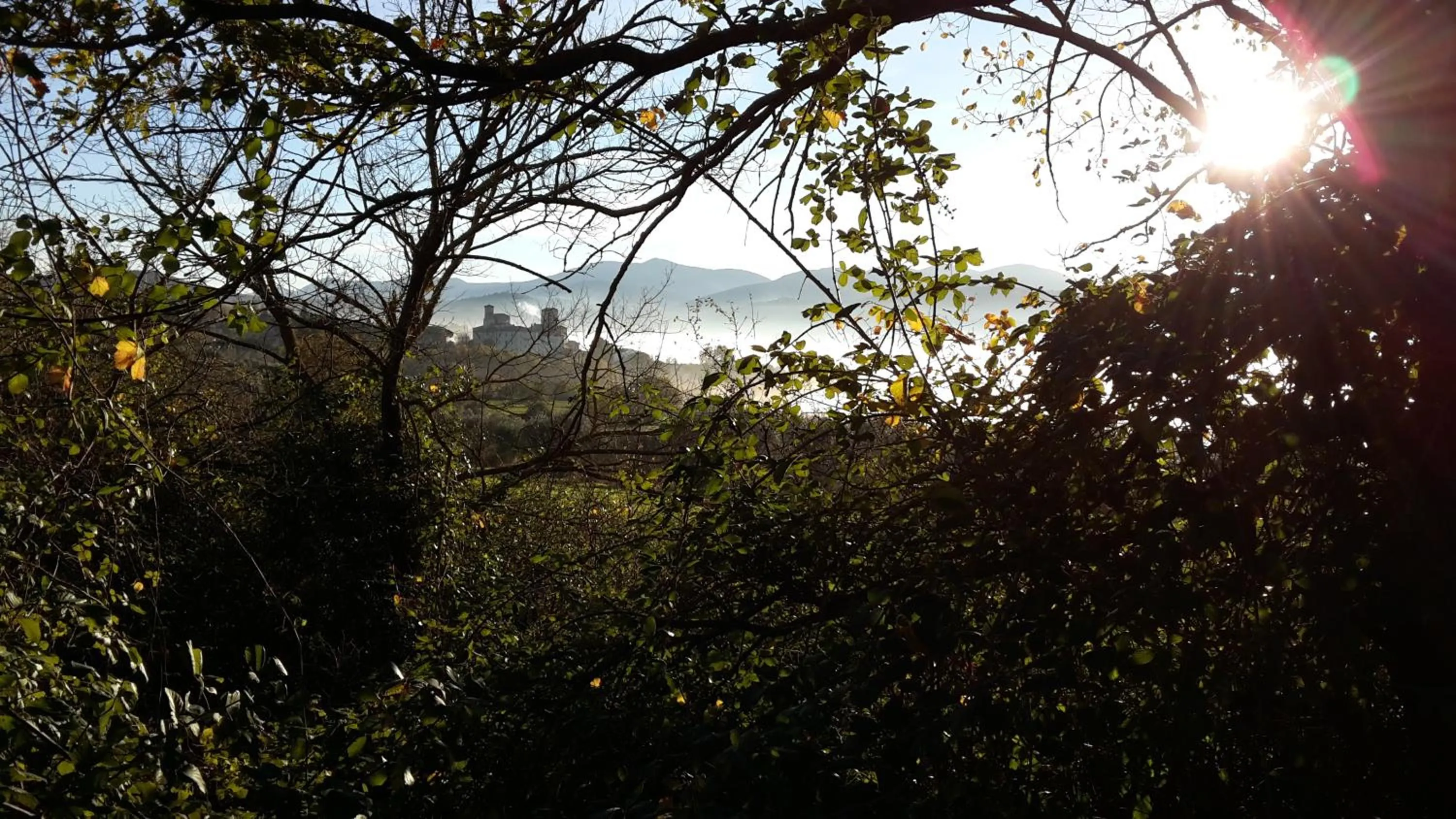 View (from property/room) in Castello Izzalini Todi Resort