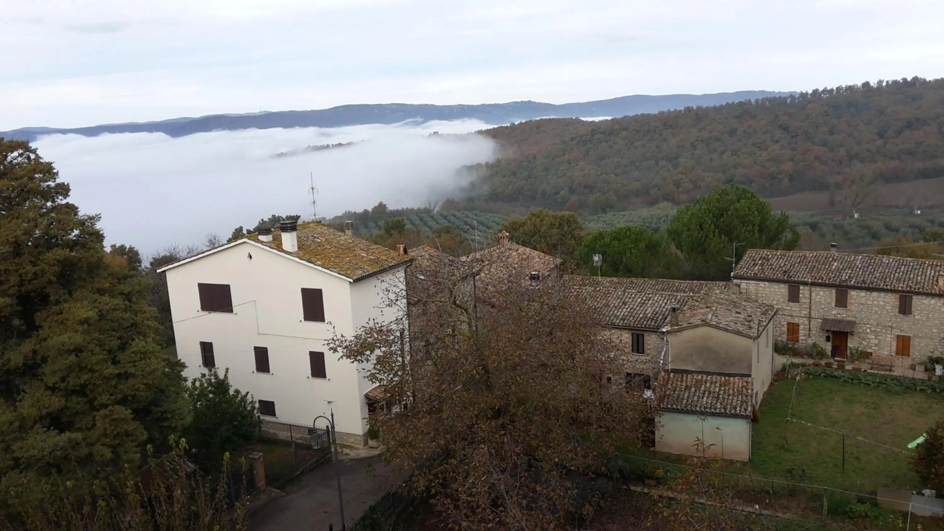View (from property/room) in Castello Izzalini Todi Resort
