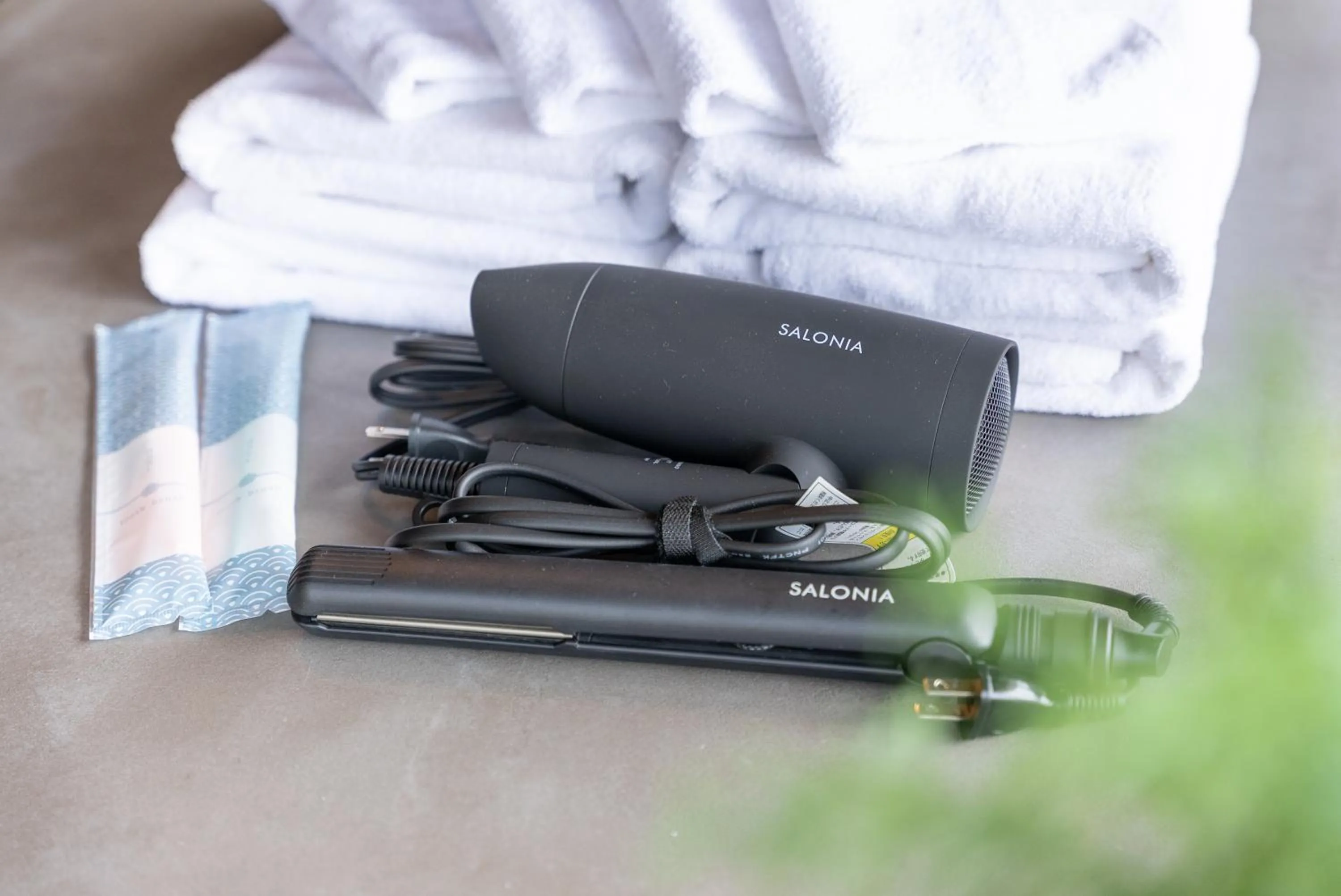 Area and facilities in VILLA HAKONE湖空