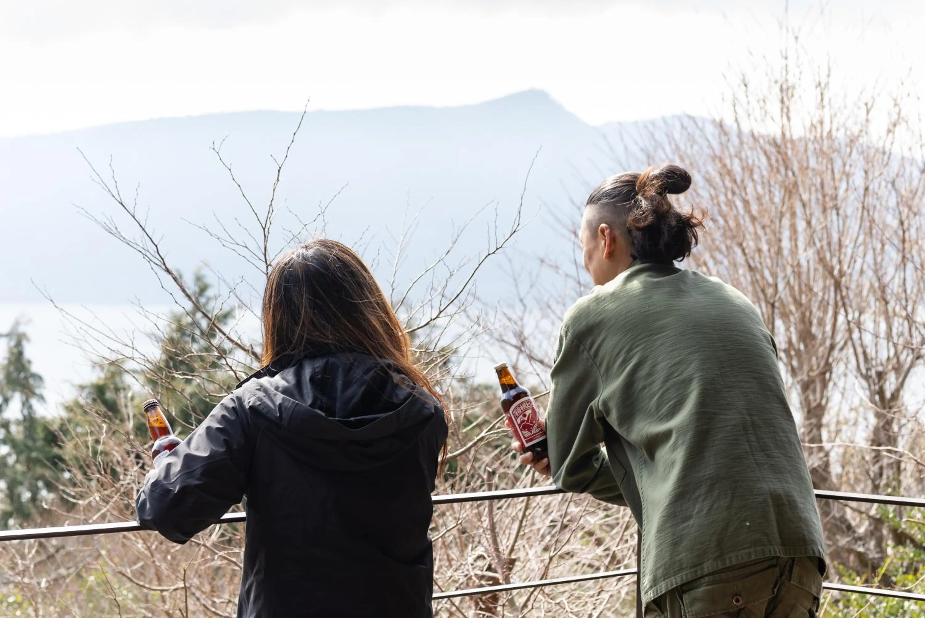 Mountain view in VILLA HAKONE湖空