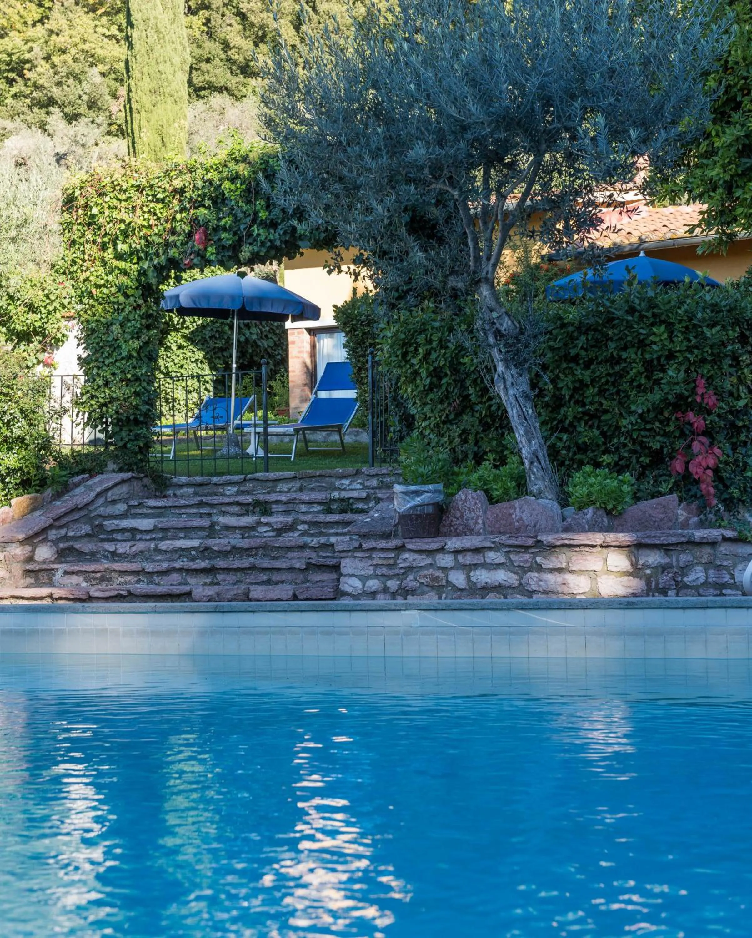 Swimming pool in Tenuta La Bandita