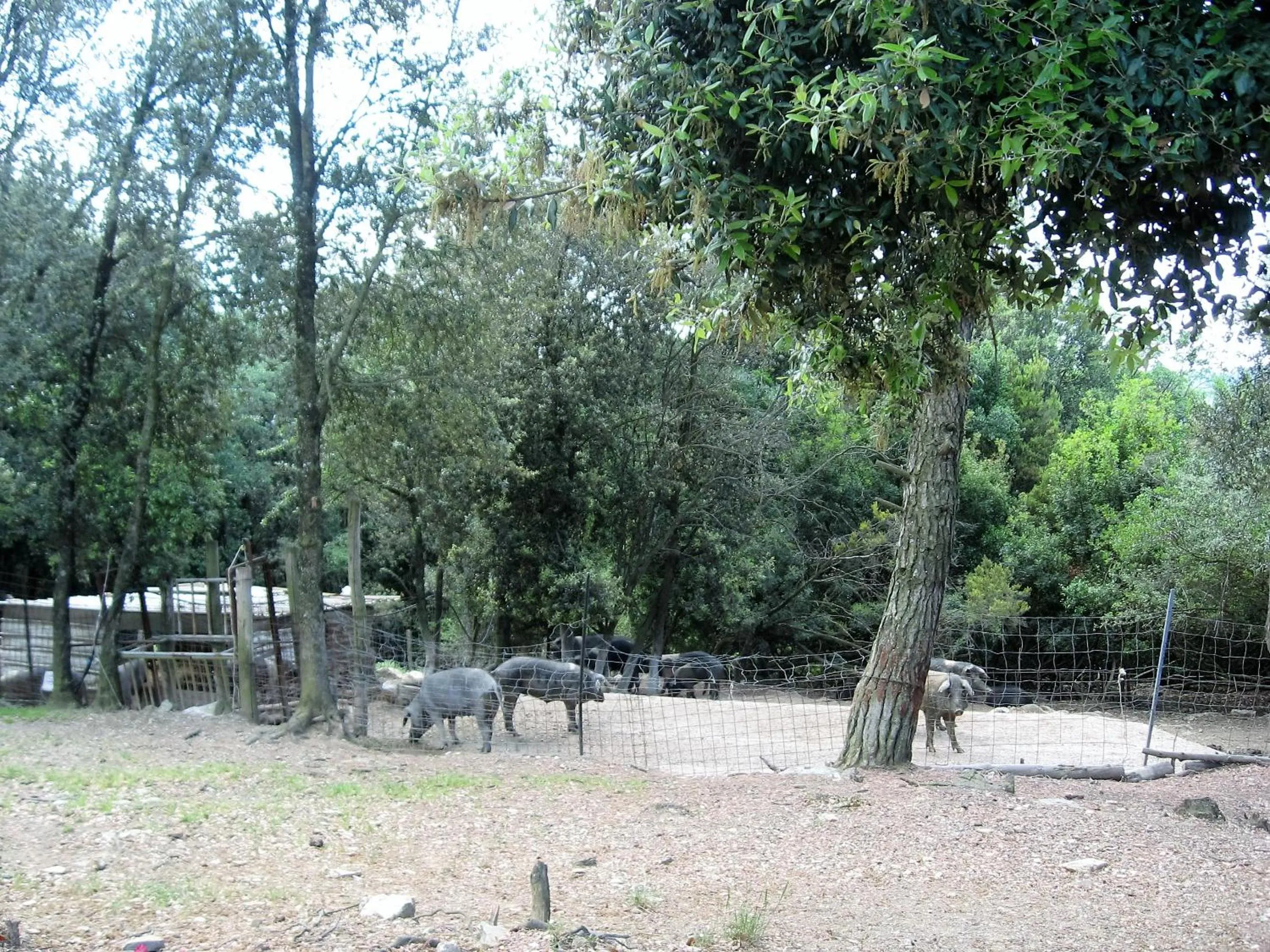 Natural landscape in Tenuta La Bandita