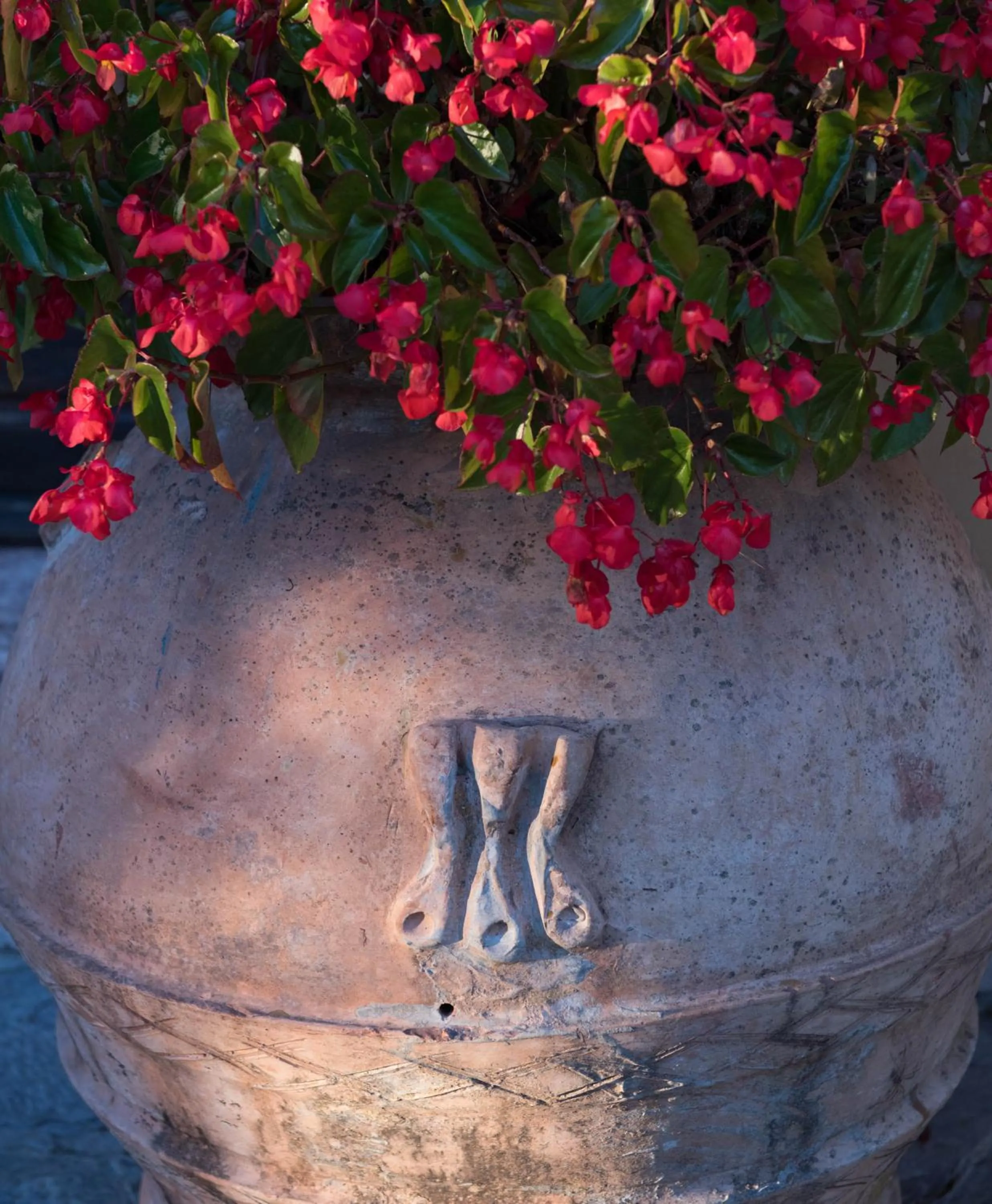 Garden in Tenuta La Bandita