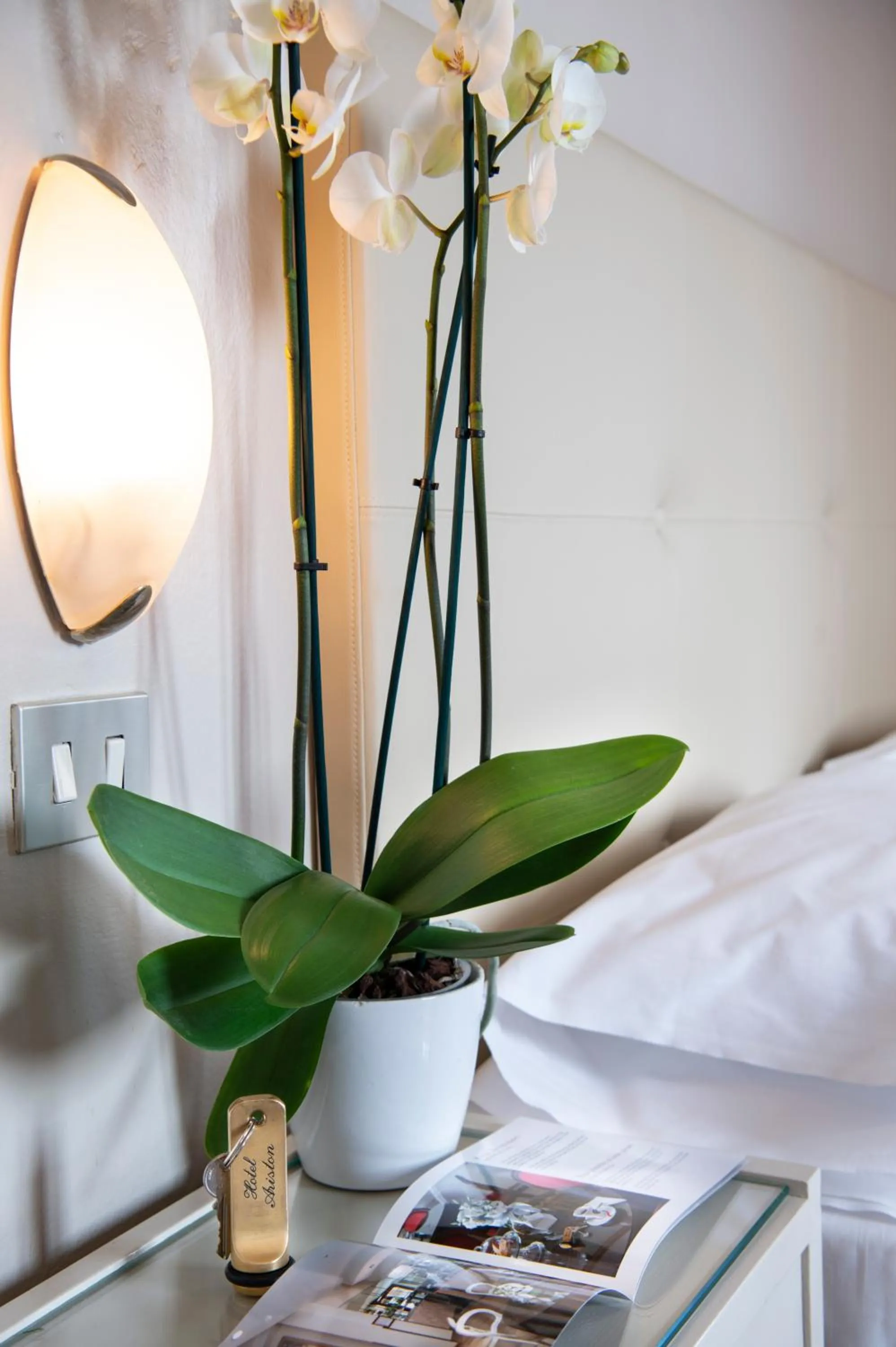 Decorative detail, Bed in Hotel Ariston & Spa