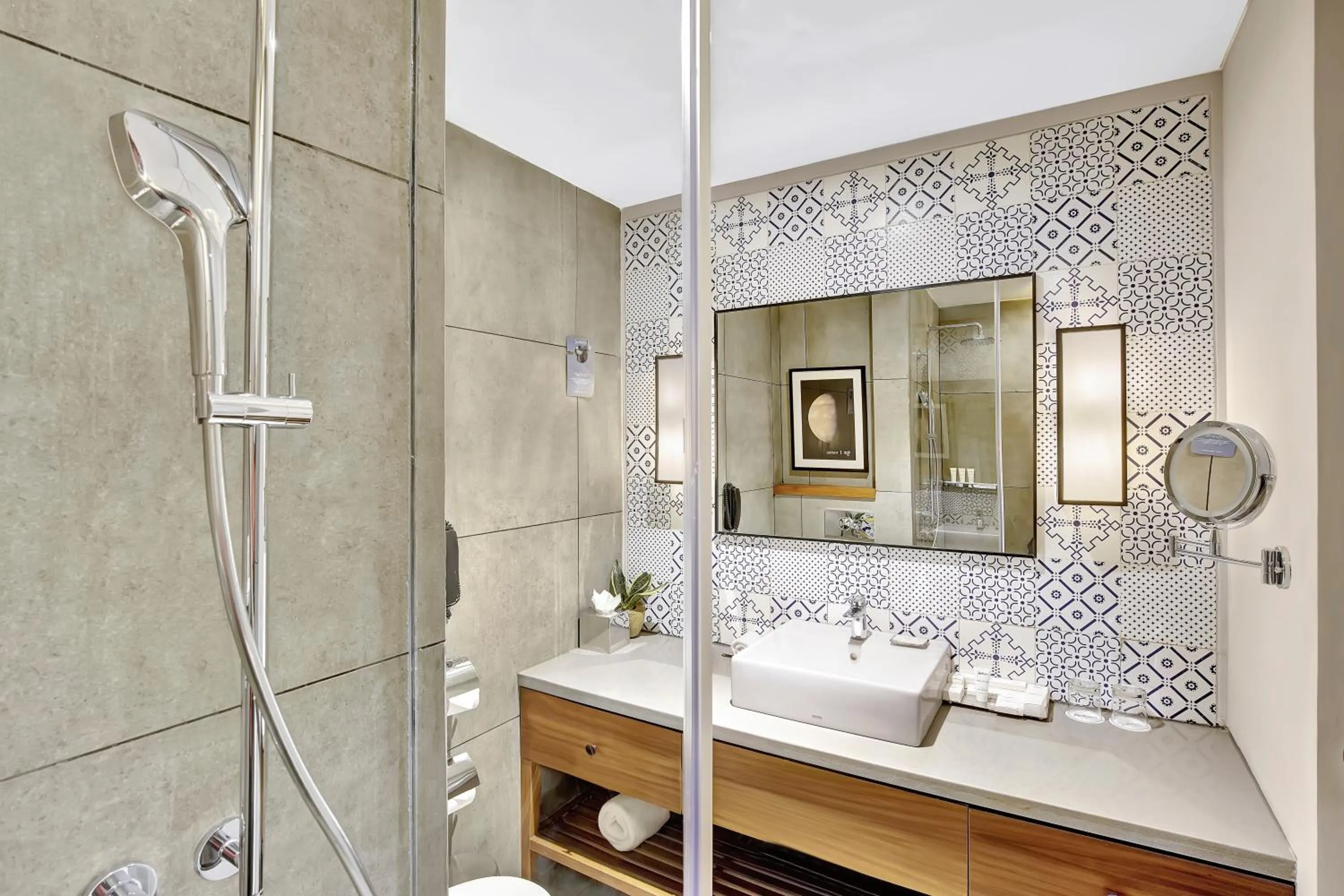 Toilet in Radisson Hotel Nathdwara