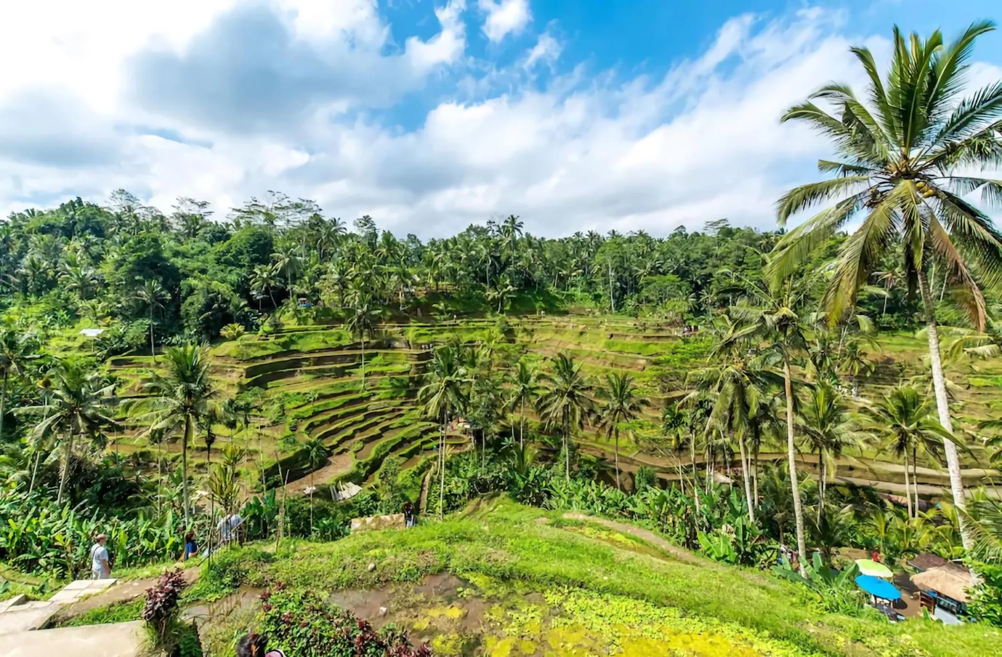 Natural landscape in The Kanjeng Resort Ubud