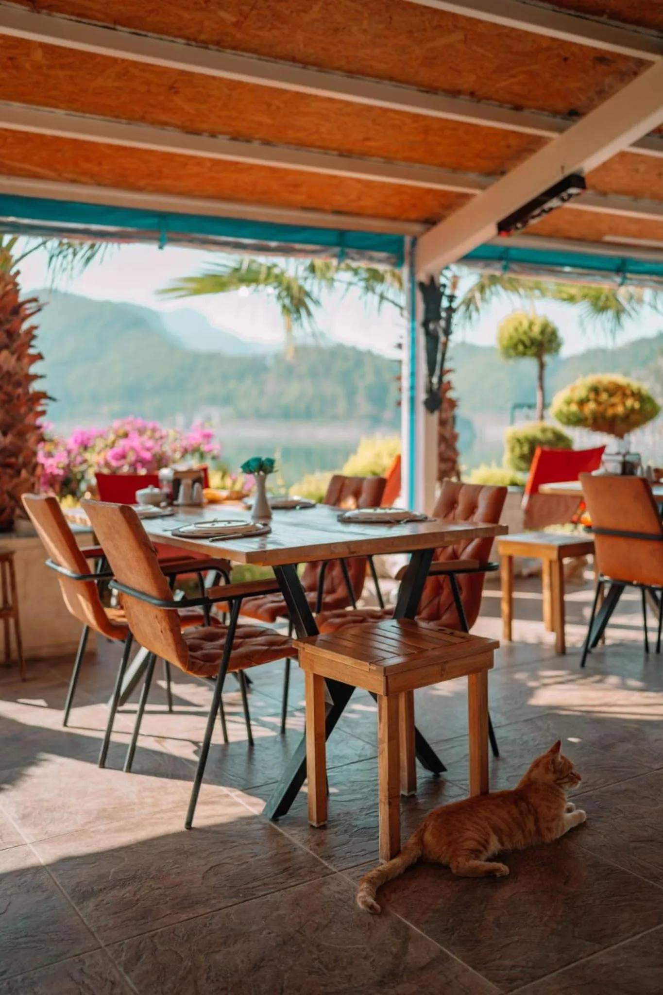 Restaurant/places to eat in Dolphin Konaklama