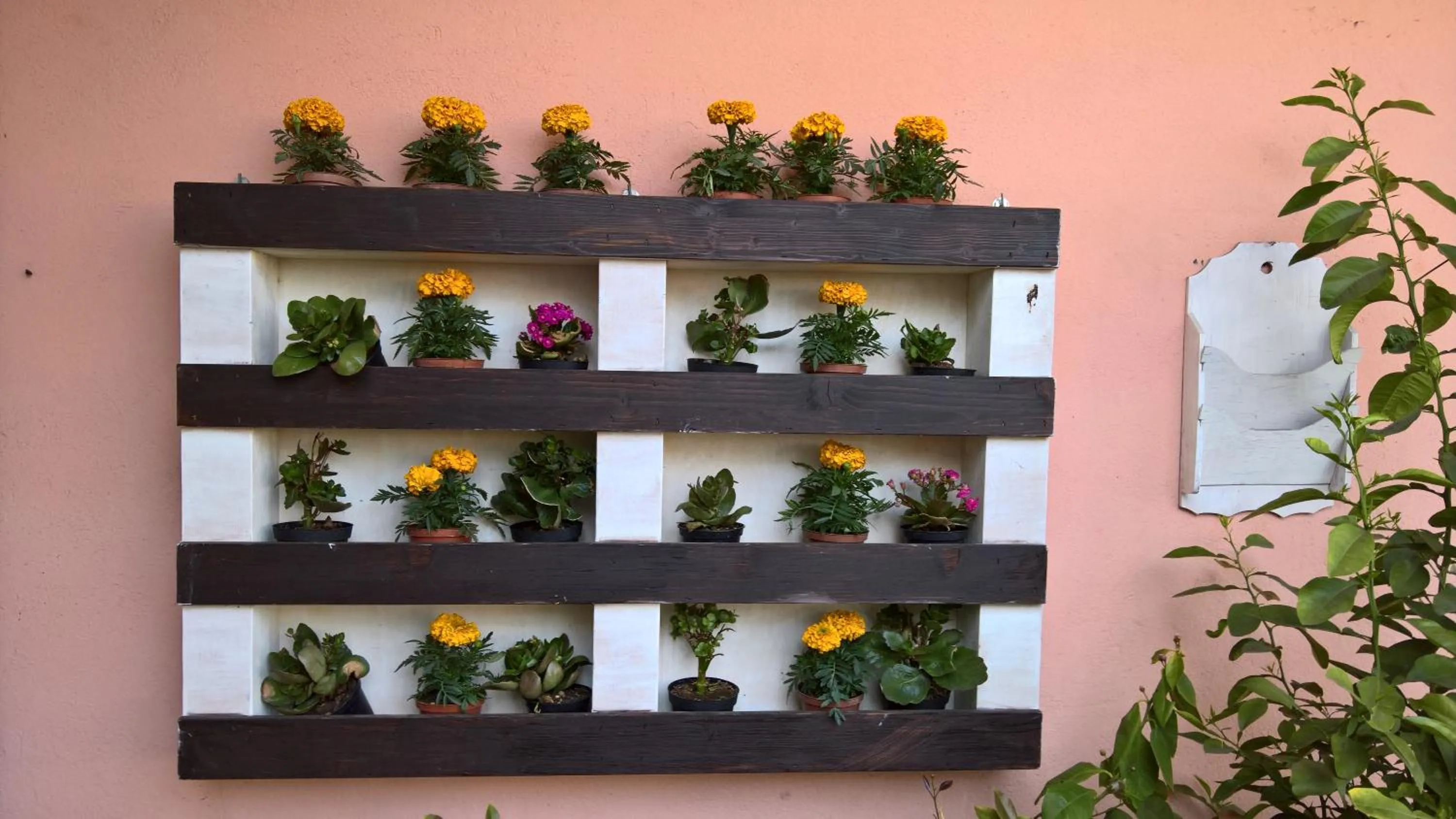 Hotel Ristorante alla Campagna