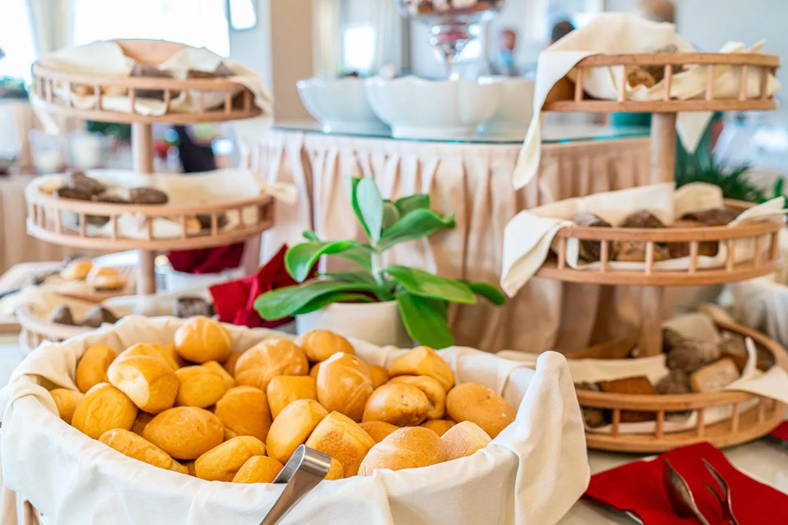 Restaurant/places to eat in Hotel Excelsior