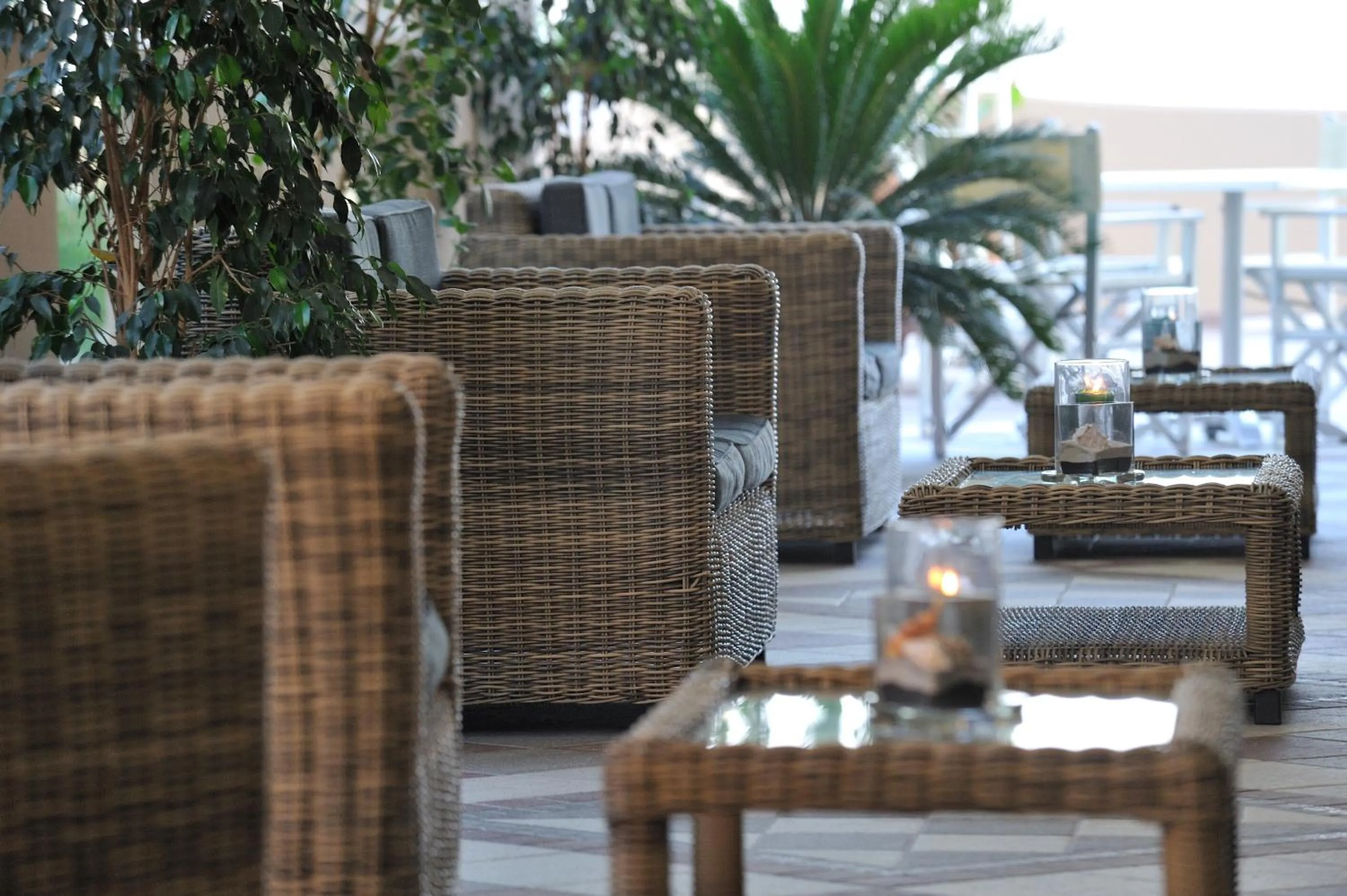 Property building in Hotel Excelsior