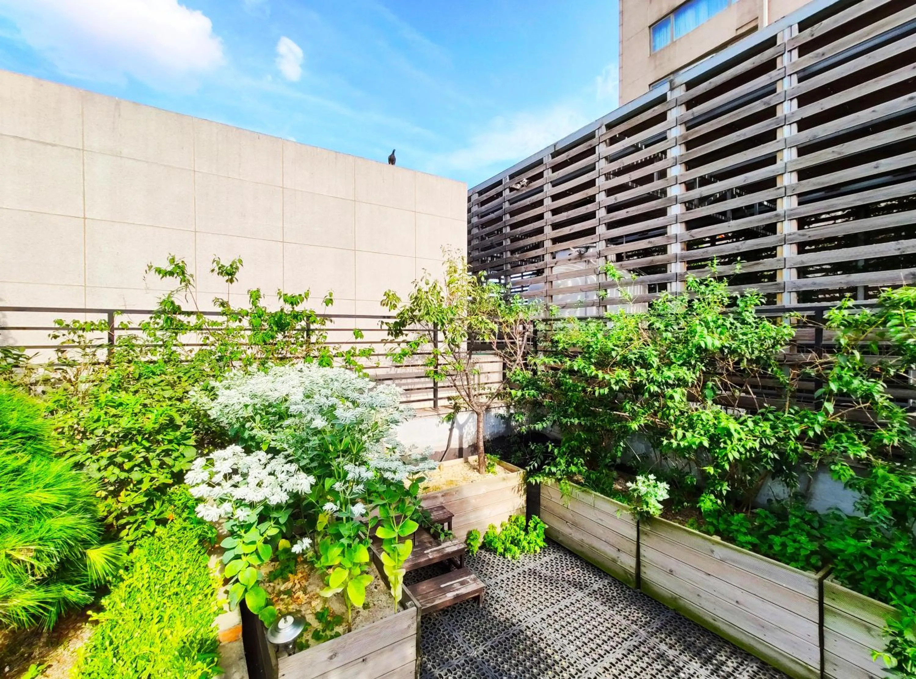 Balcony/Terrace in OYO Hostel Myeongdong 2