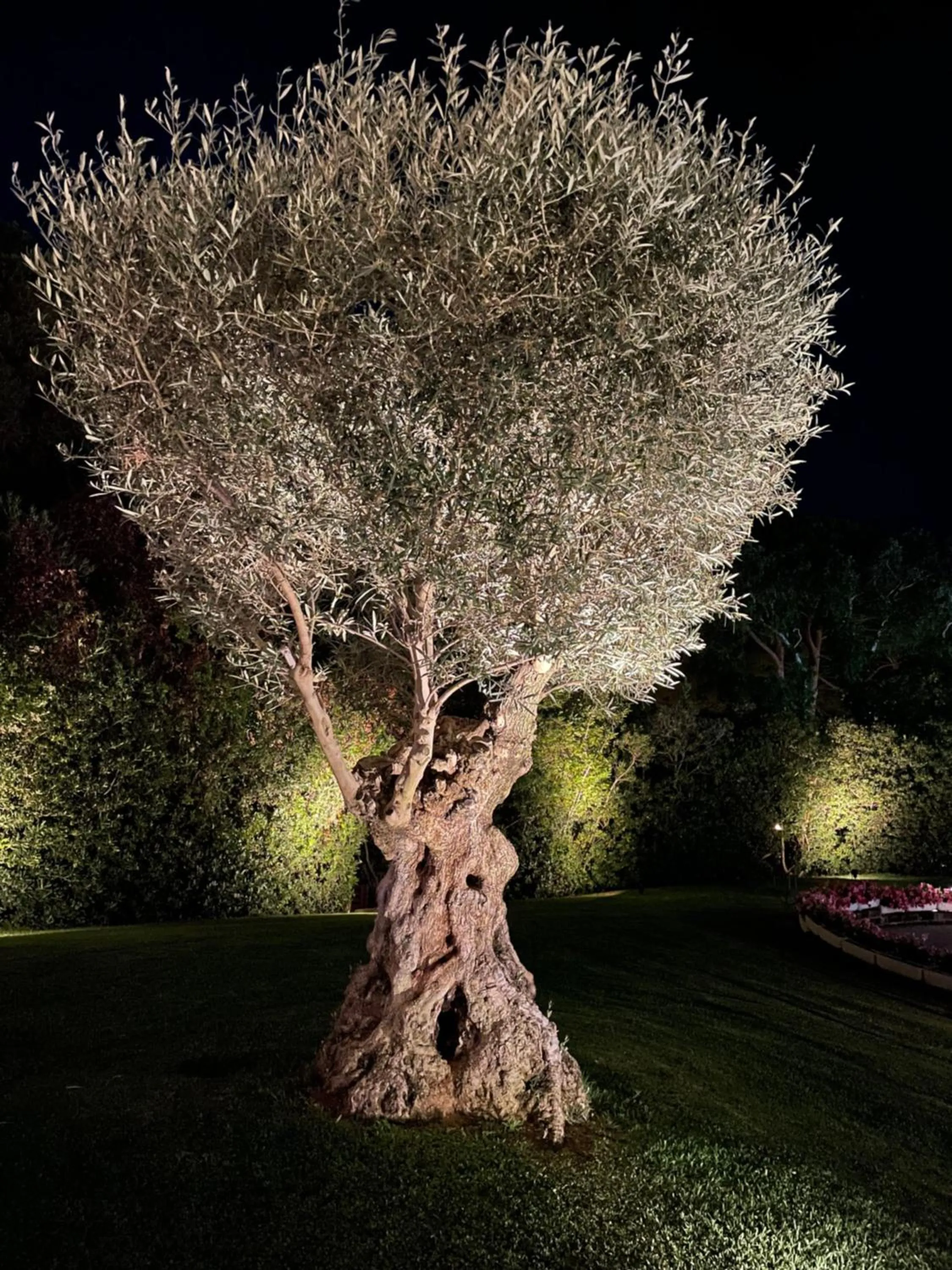 Other in Gallia Palace Hotel - Relais & Châteaux