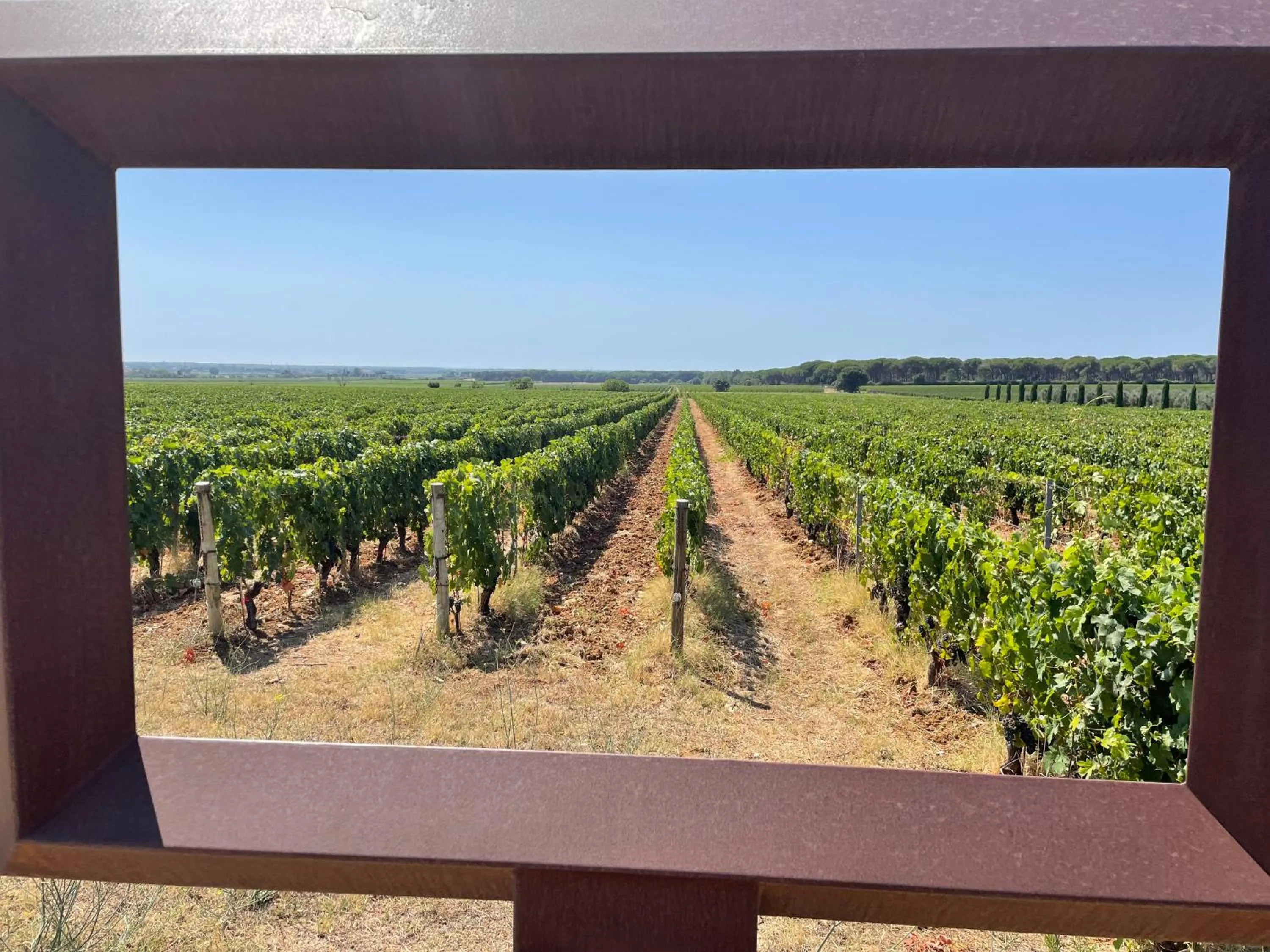 Activities in Gallia Palace Hotel - Relais & Châteaux